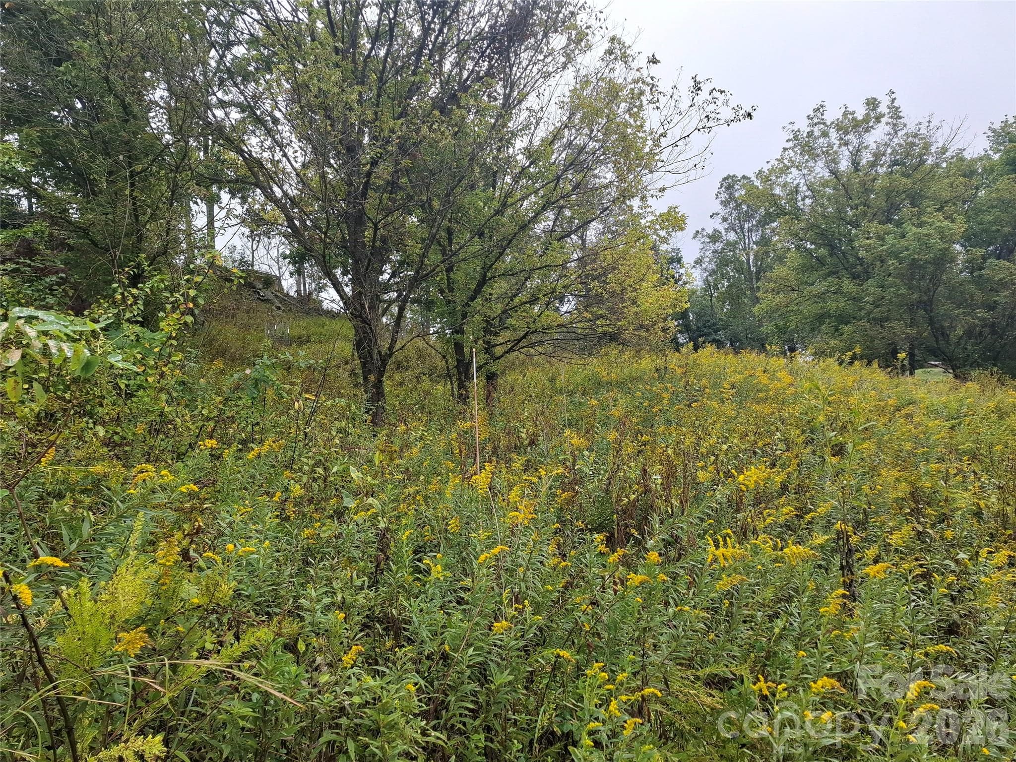 Lot at 310 Sunset Mountain Road, Bakersville, photo 5 of 20