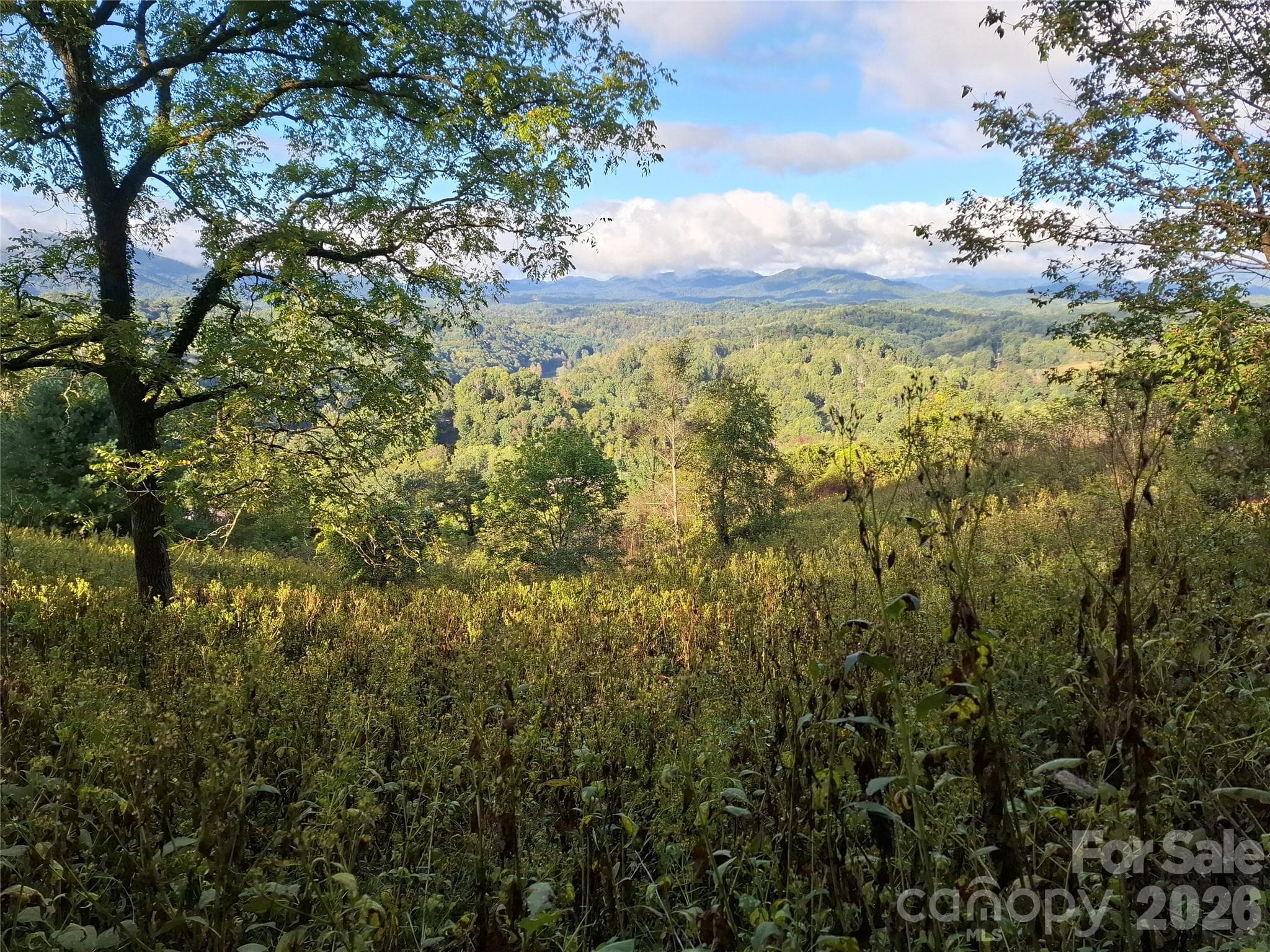 Lot at 310 Sunset Mountain Road, Bakersville, photo 6 of 20