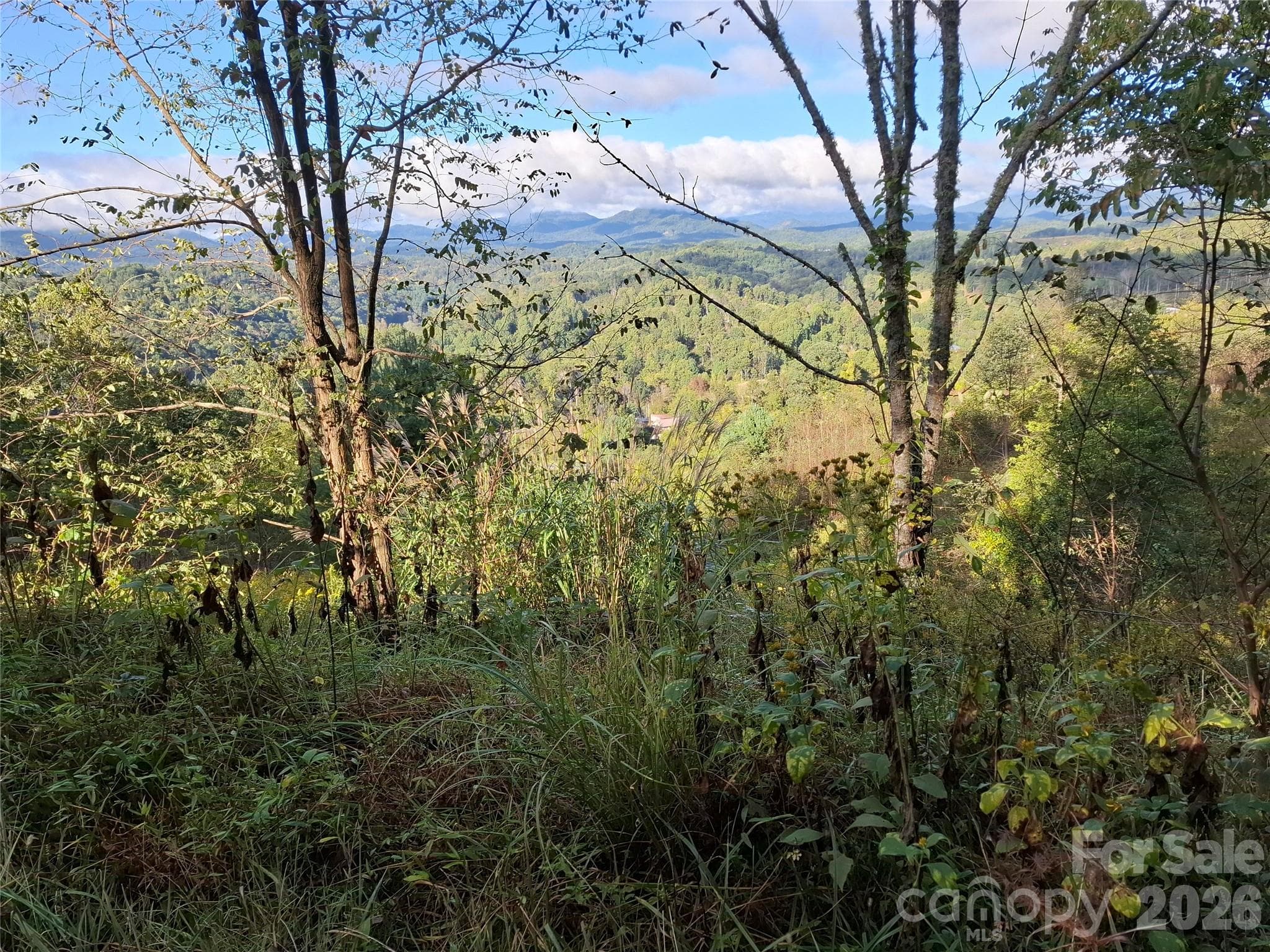 Lot at 310 Sunset Mountain Road, Bakersville, photo 7 of 20