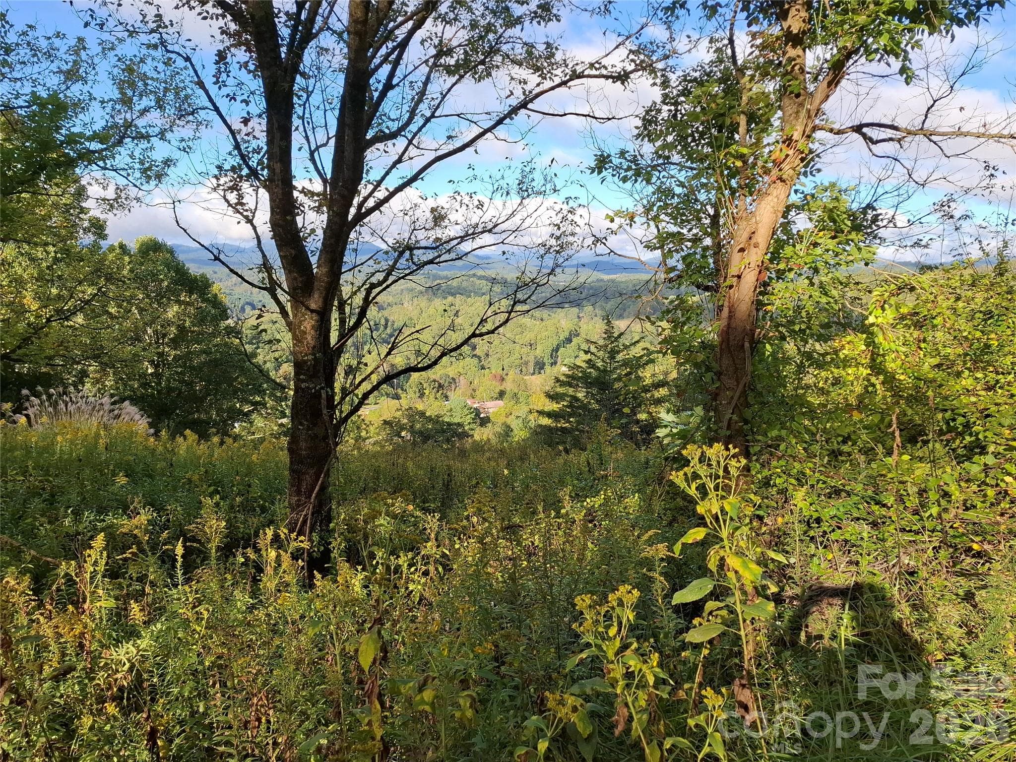 Lot at 310 Sunset Mountain Road, Bakersville, photo 8 of 20
