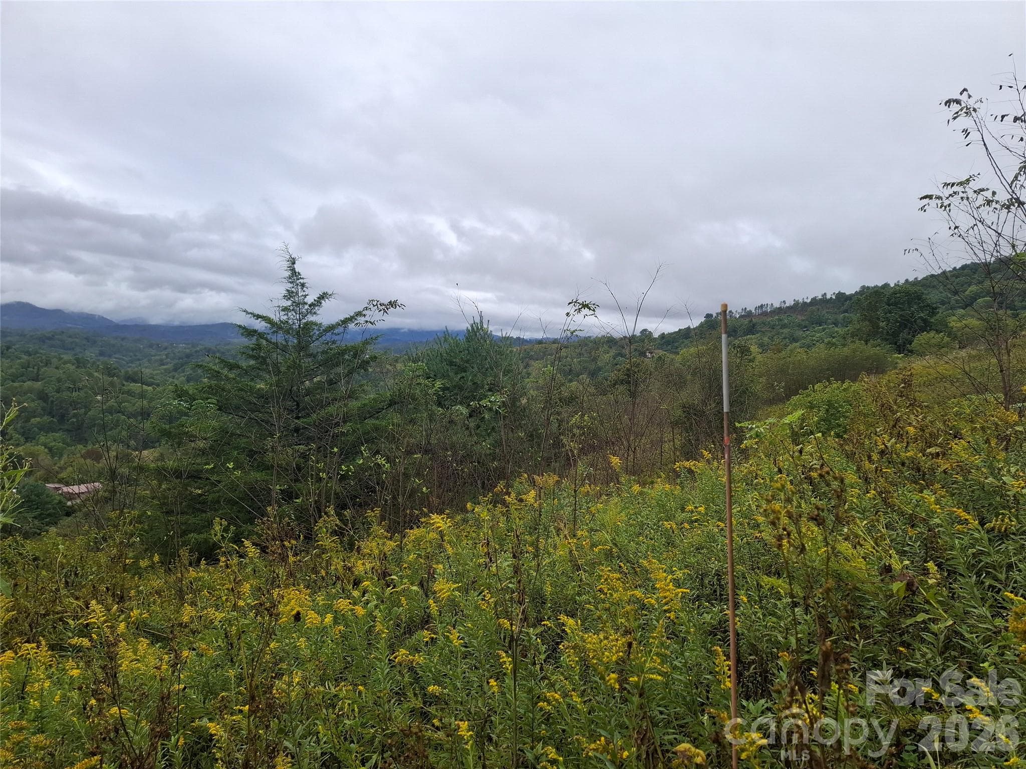 Lot at 310 Sunset Mountain Road, Bakersville, photo 14 of 20