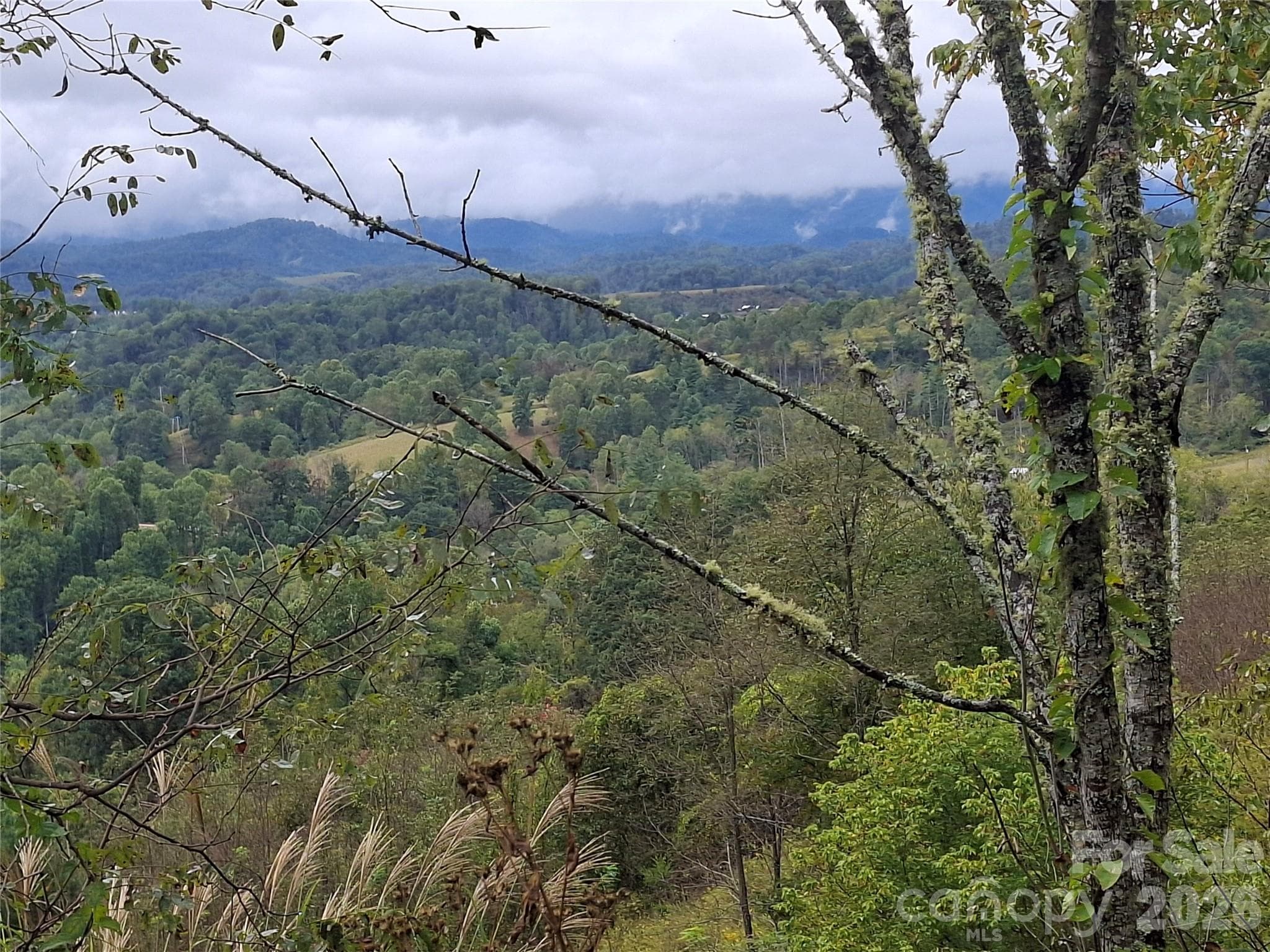 Lot at 310 Sunset Mountain Road, Bakersville, photo 15 of 20