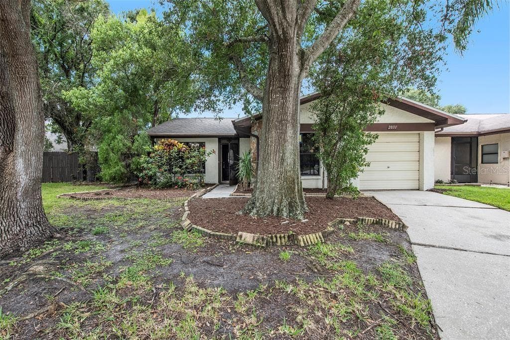 Front of the House - 2031 DOVER CT, OLDSMAR