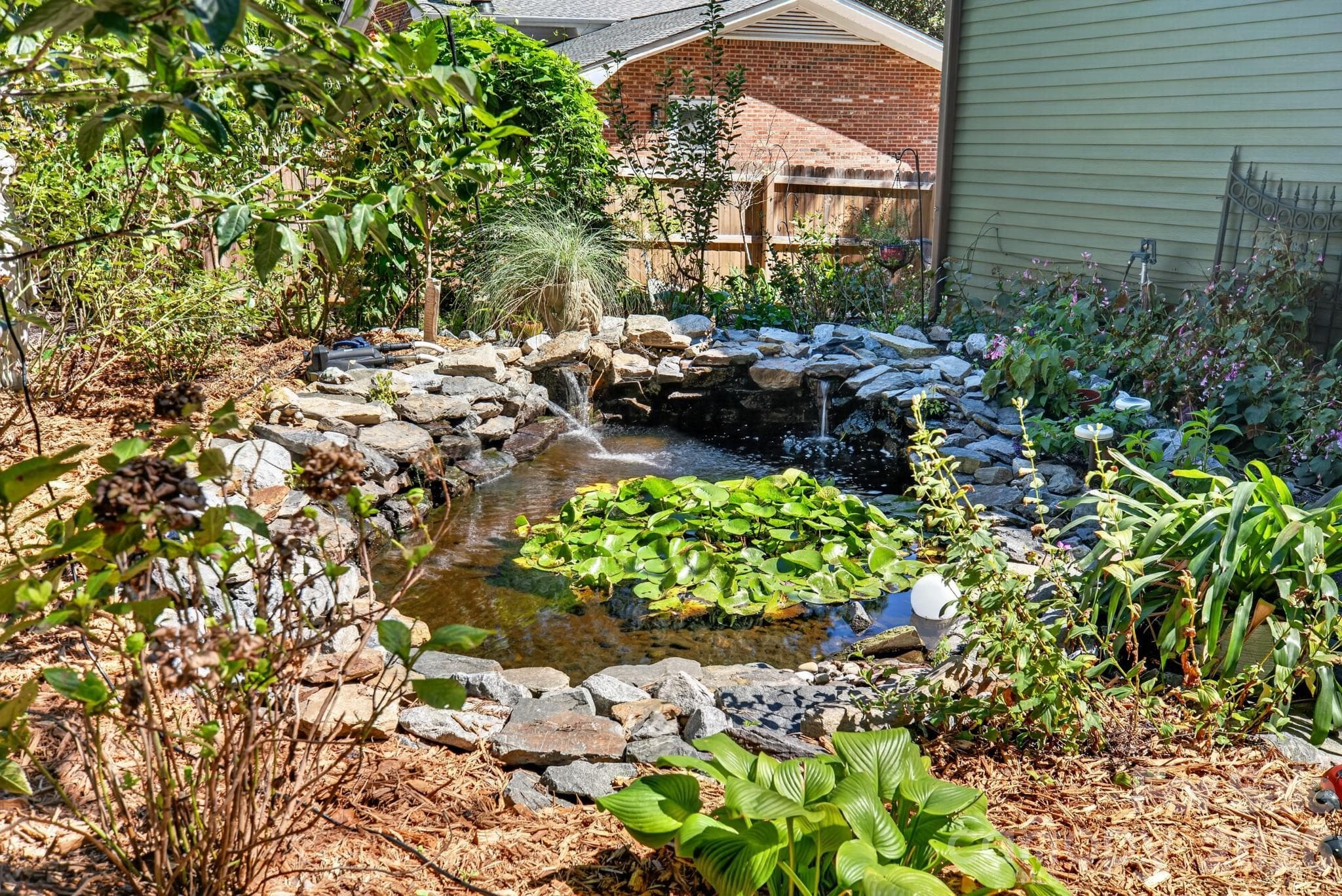 Water feature with goldfish - 1309 Worcaster Place, Charlotte