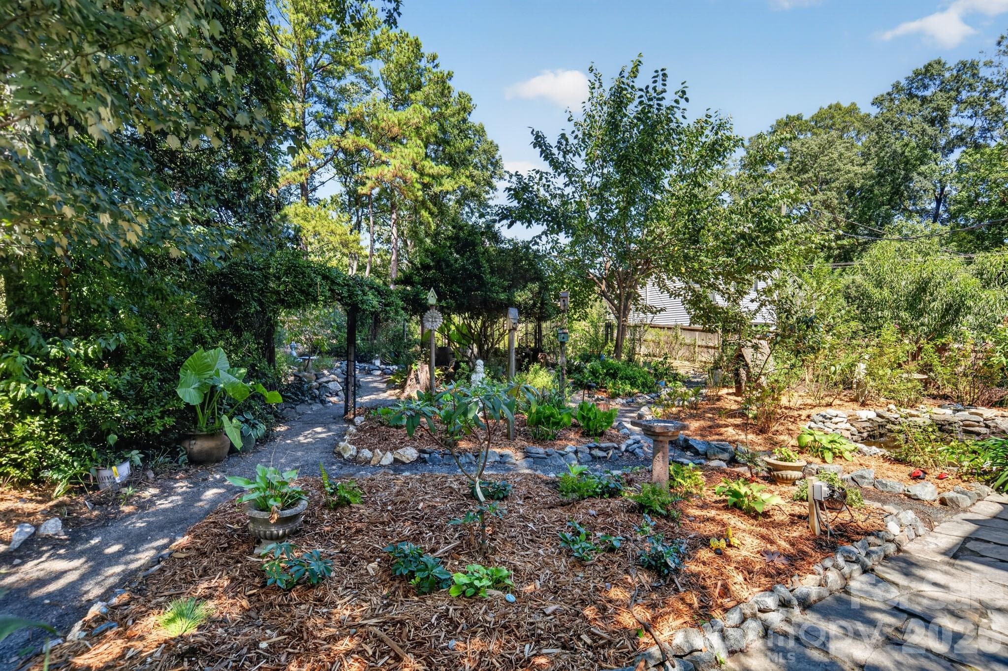 Back yard, grass area in the back, stunning gardens - 1309 Worcaster Place, Charlotte