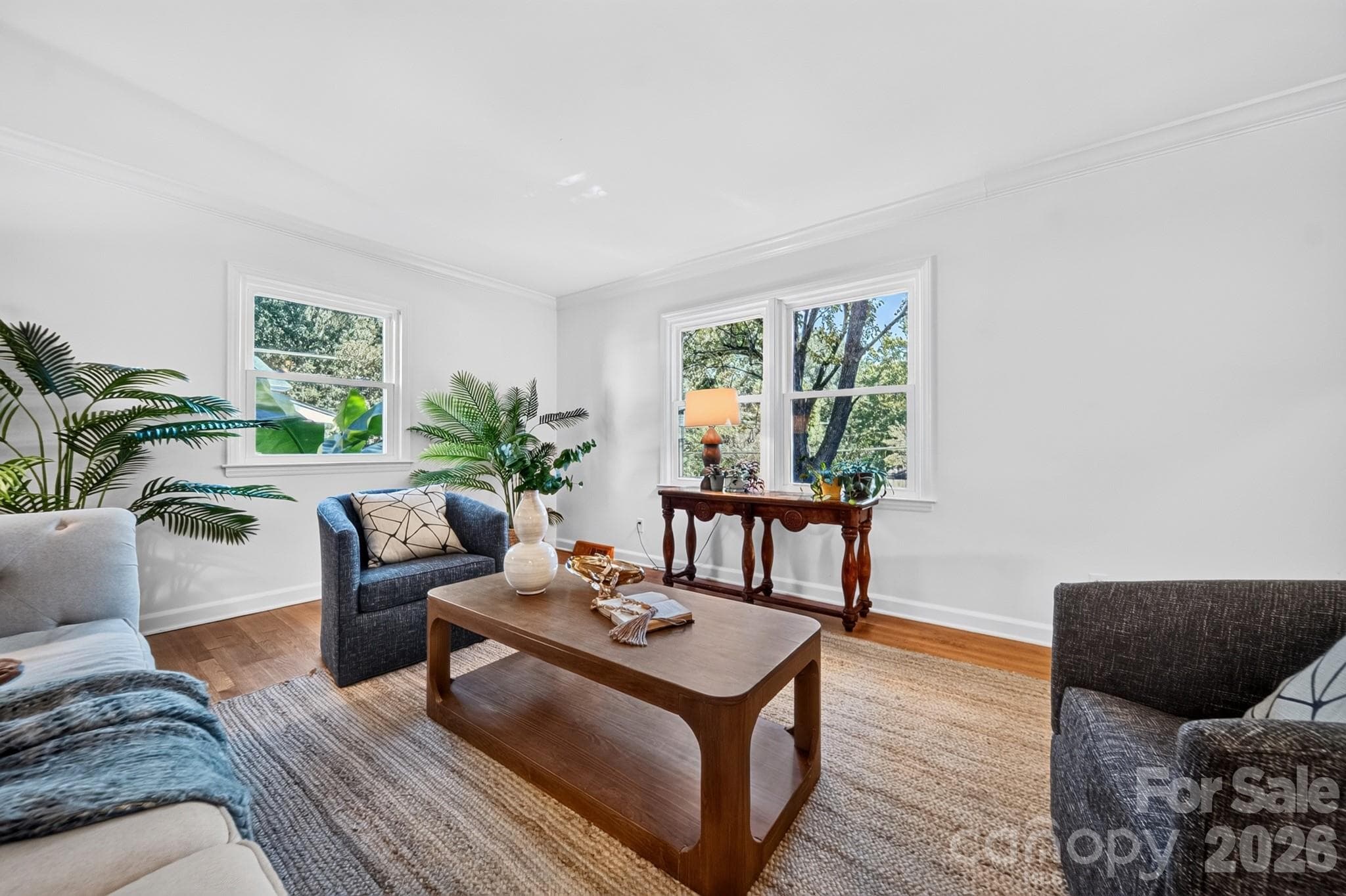 Living room - 1309 Worcaster Place, Charlotte