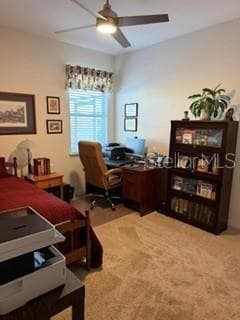GuestBed2 - 226 BRUNSWICK DR, DAVENPORT