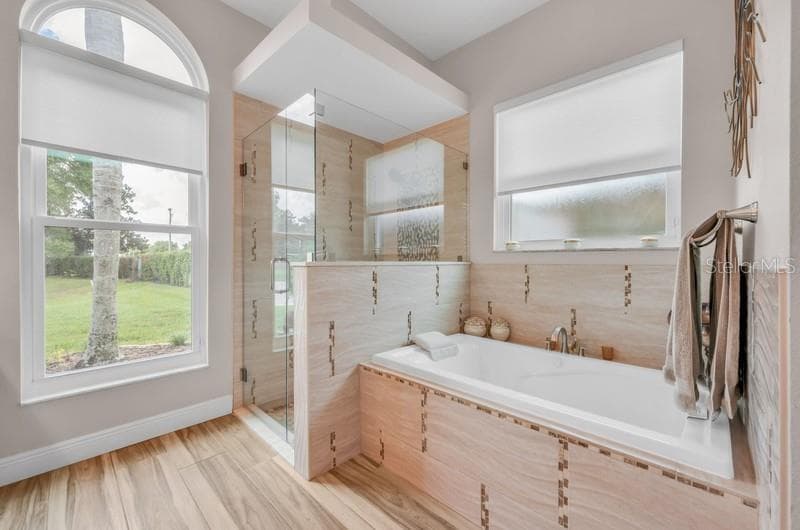 Owner's Suite Bathroom - 1001 SPLIT SILK ST, VALRICO