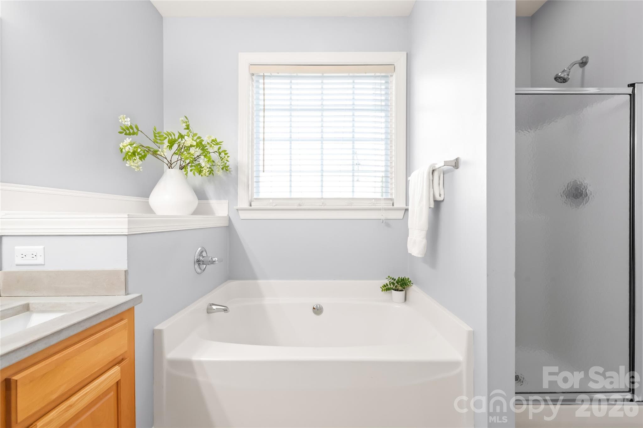 Unwind after a long day in the deep garden tub, or power through your morning routine in the separate walk-in shower. - 2008 Trace Creek Drive, Waxhaw