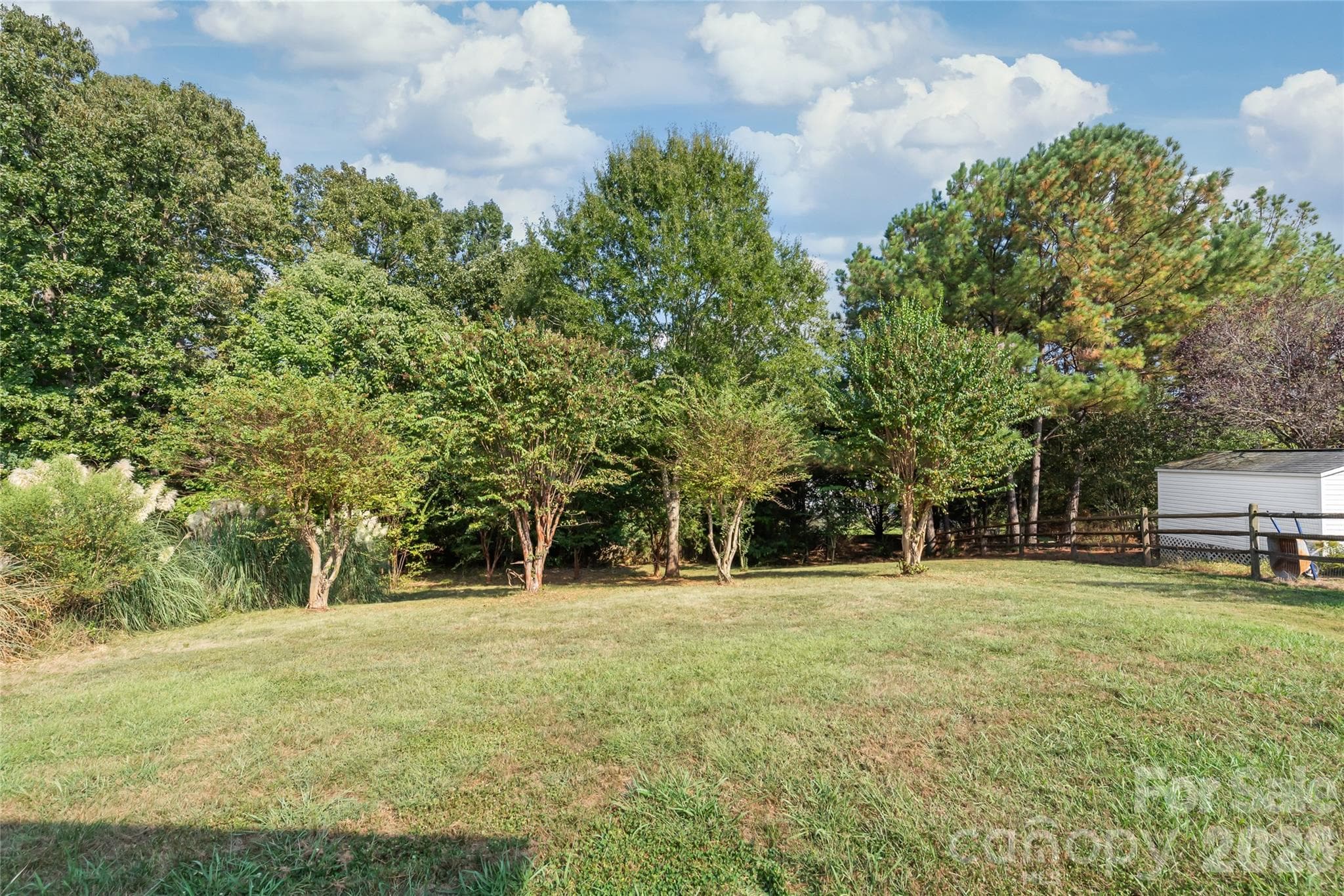Framed by a serene, tree-lined view, the private wooded backdrop creates a quiet natural sanctuary right outside your back door. - 2008 Trace Creek Drive, Waxhaw