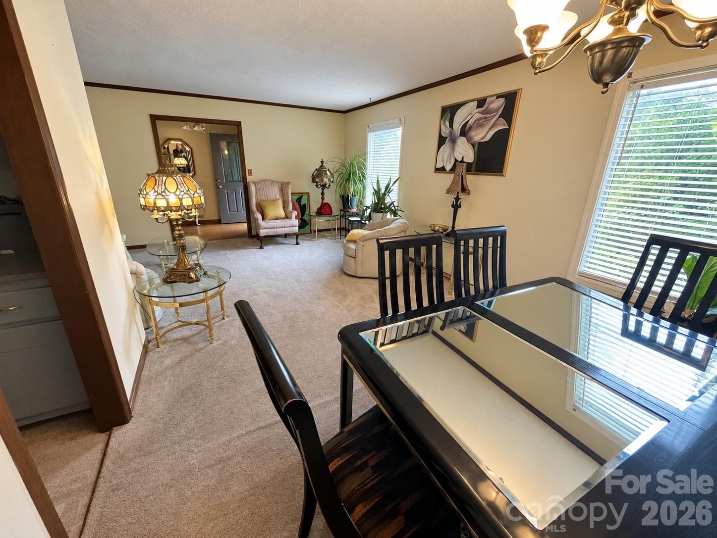 Single Family Residence at 6 Daniel Drive, Fletcher, photo 10 of 15