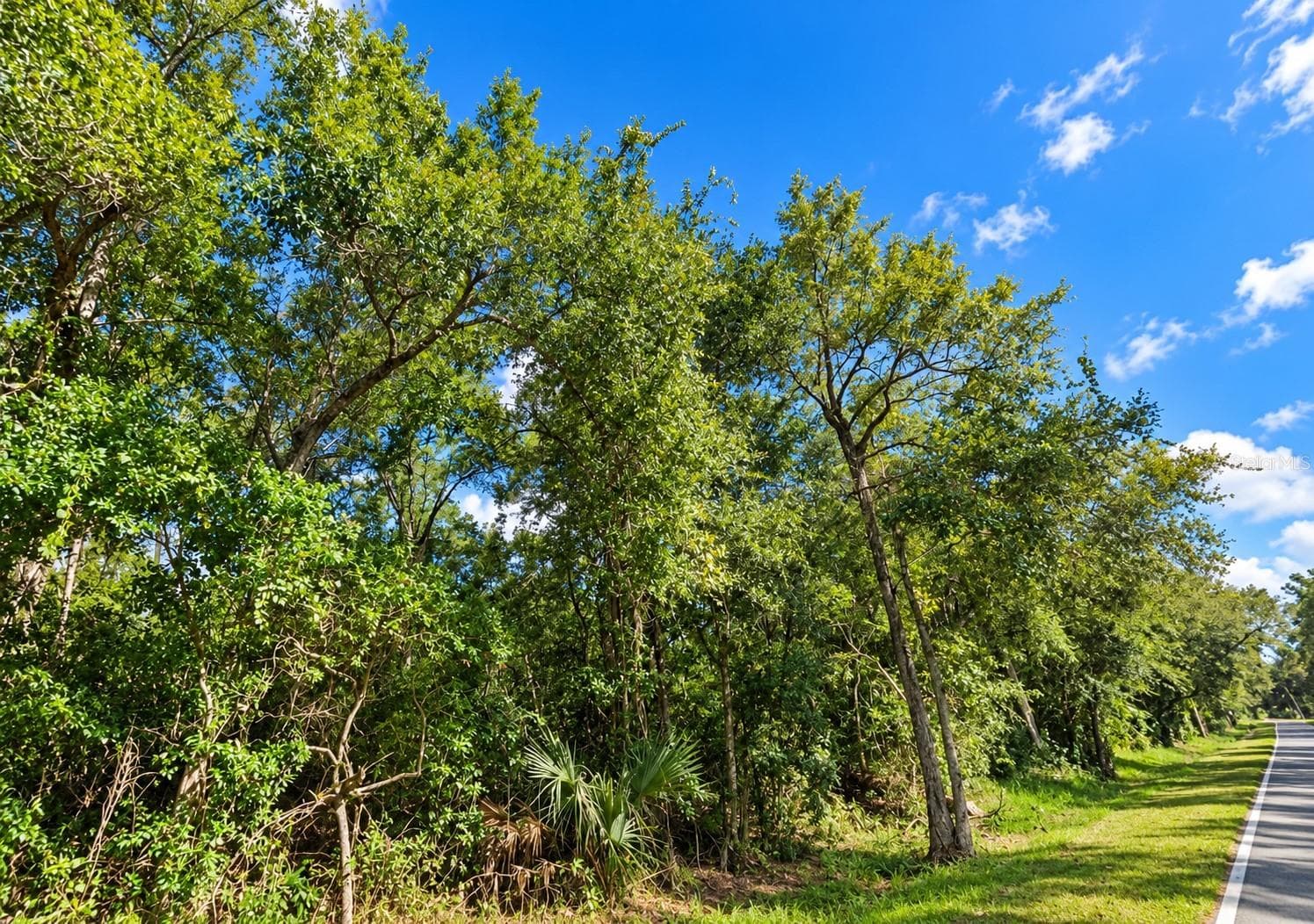 Land at 0 OLD KISSIMMEE RD, DAVENPORT, photo 2 of 10
