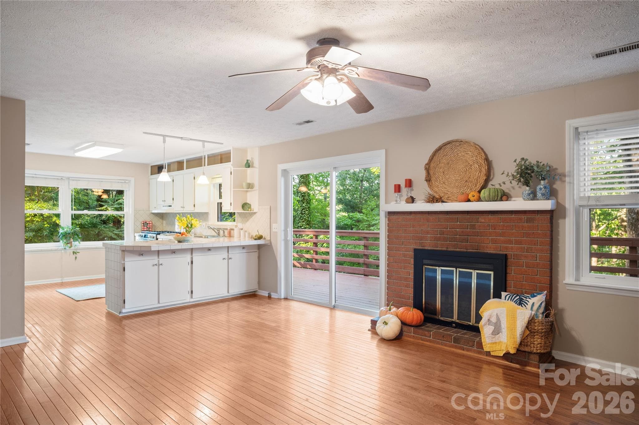 Single Family Residence at 8 Galax Lane, Hendersonville, photo 16 of 48