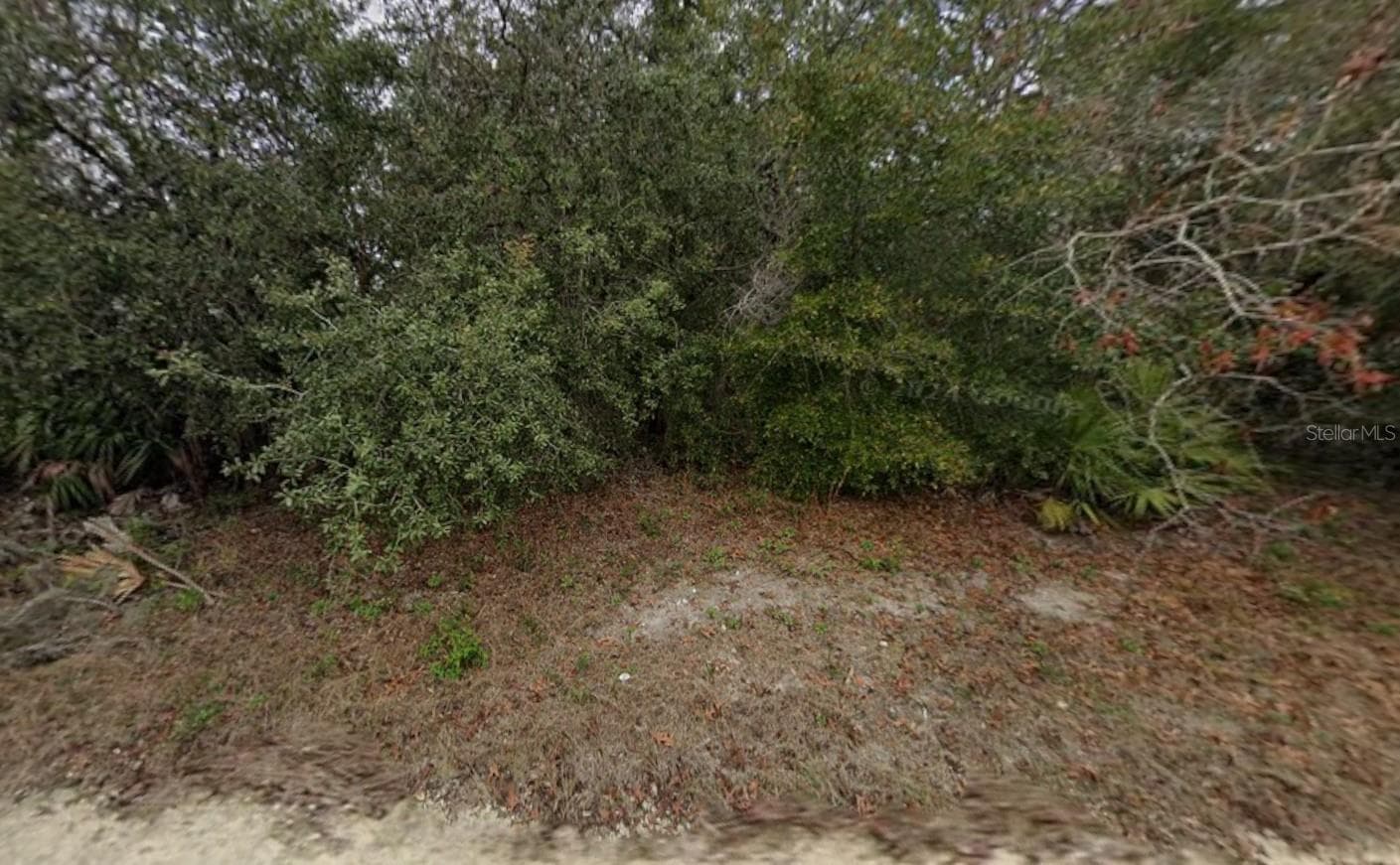 Land at 8343 NORMANDY DR, WEEKI WACHEE, photo 2 of 3