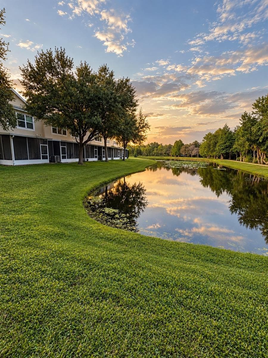 pond behind property - 2520 GLENRISE PL, WESLEY CHAPEL