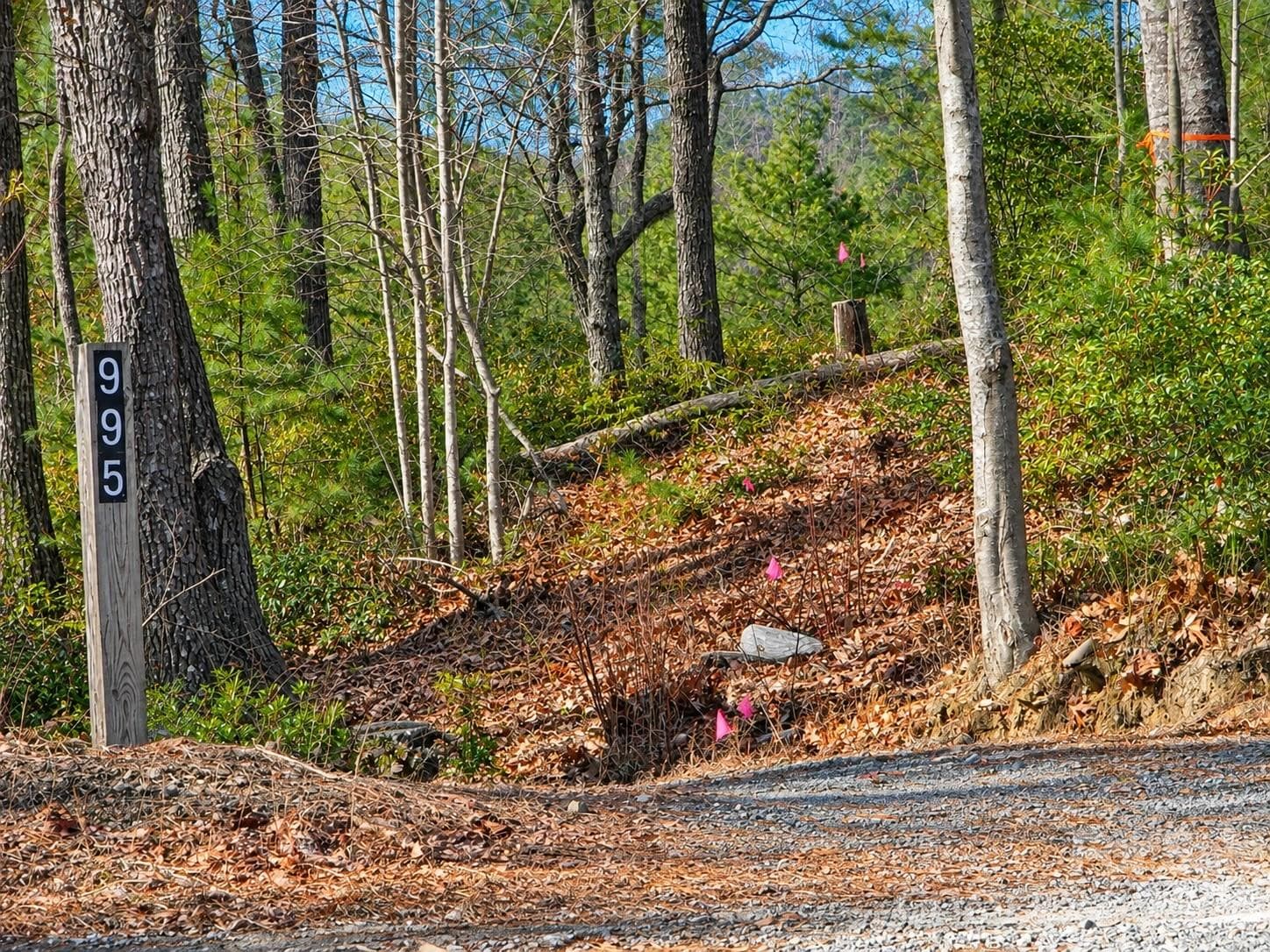 43 Deer Crossing Lane
