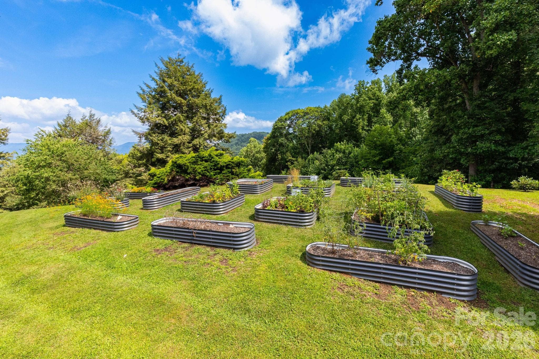 Community garden. - 25 Finlaystone Trace, Waynesville