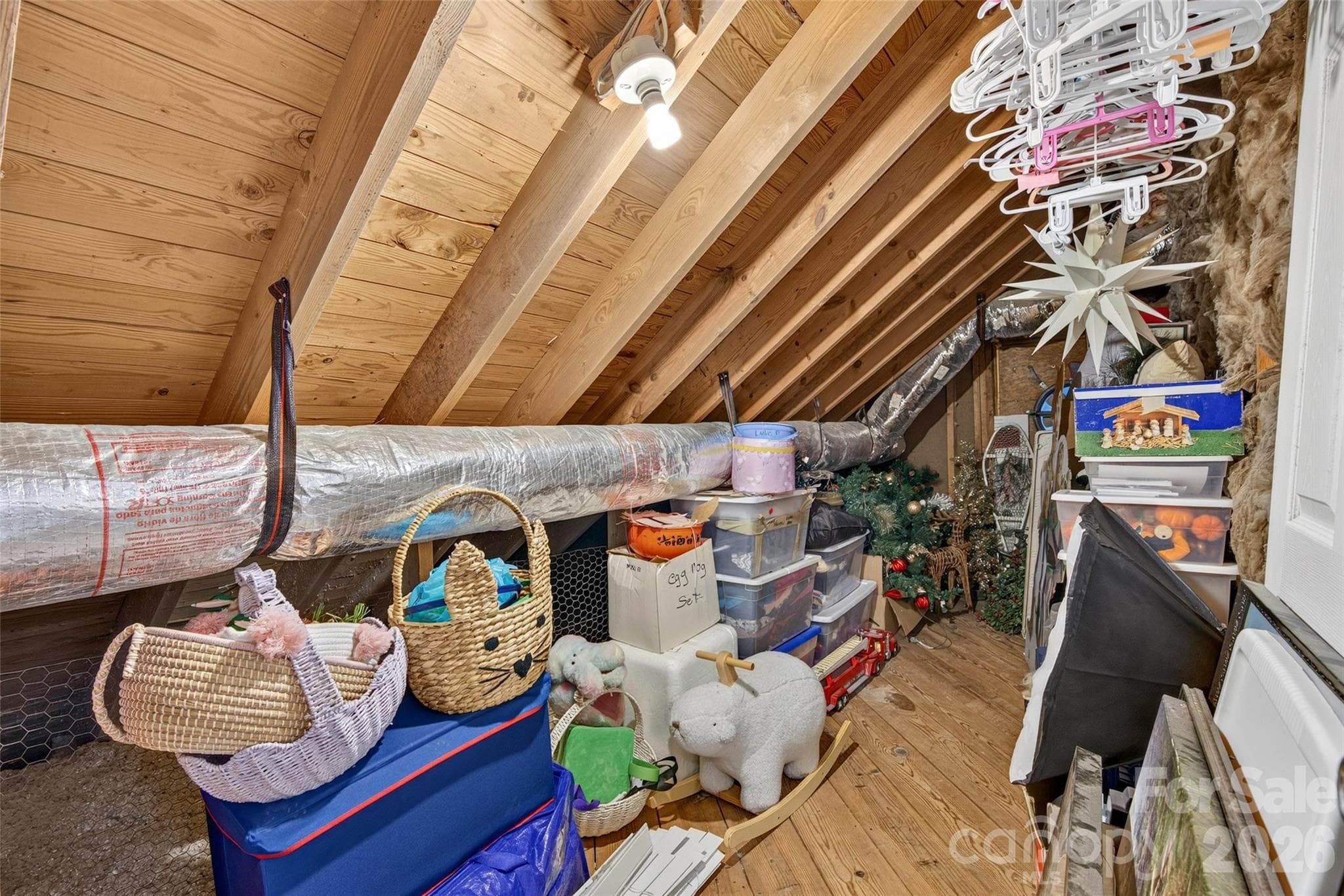 Walk out storage space - 19916 Floral Lane, Cornelius