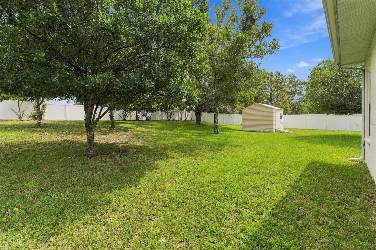 Backyard - 7420 NIGHTWALKER RD, WEEKI WACHEE