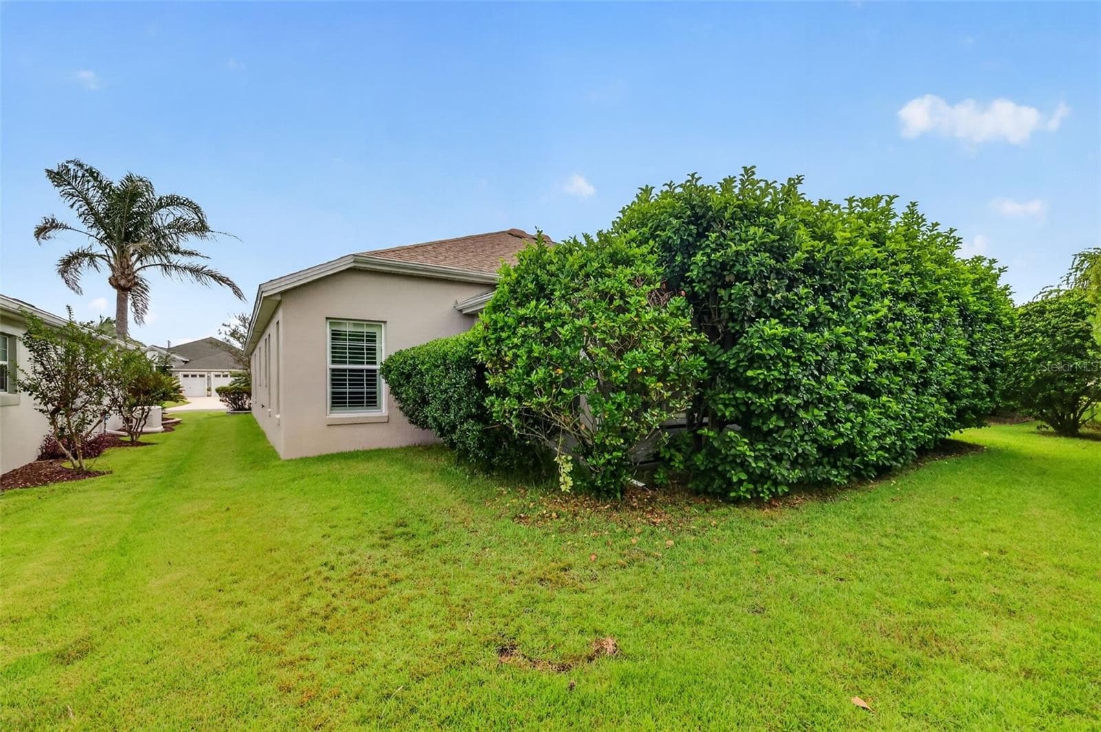 Rear and Side Elevation with Mature PRIVACY Landscaping - 3376 MAYFLOWER LOOP, THE VILLAGES