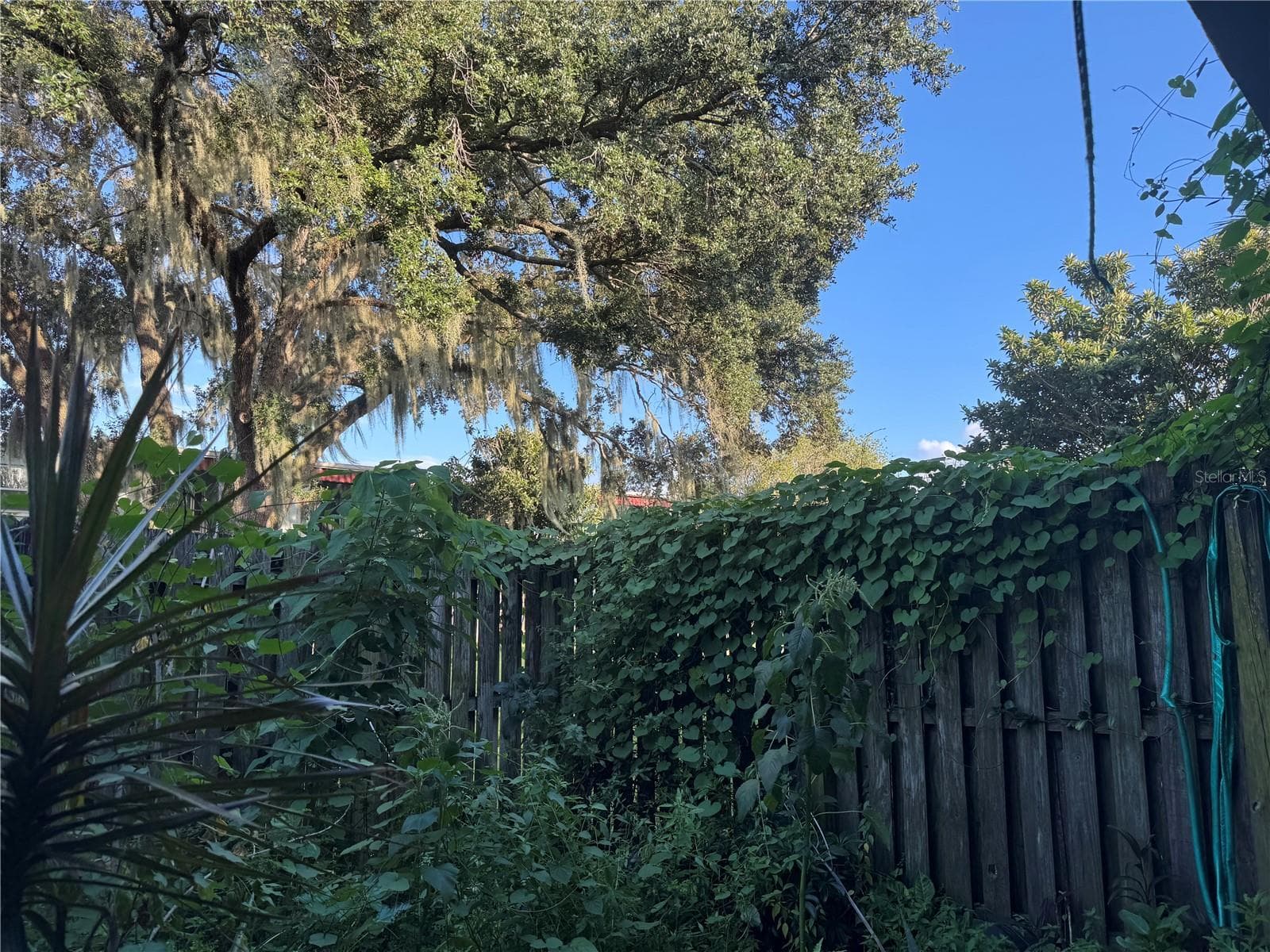 1ST FLOOR PATIO MORNING COFFEE VIEWS - 2884 SOMERSET PARK DR #2907, TAMPA