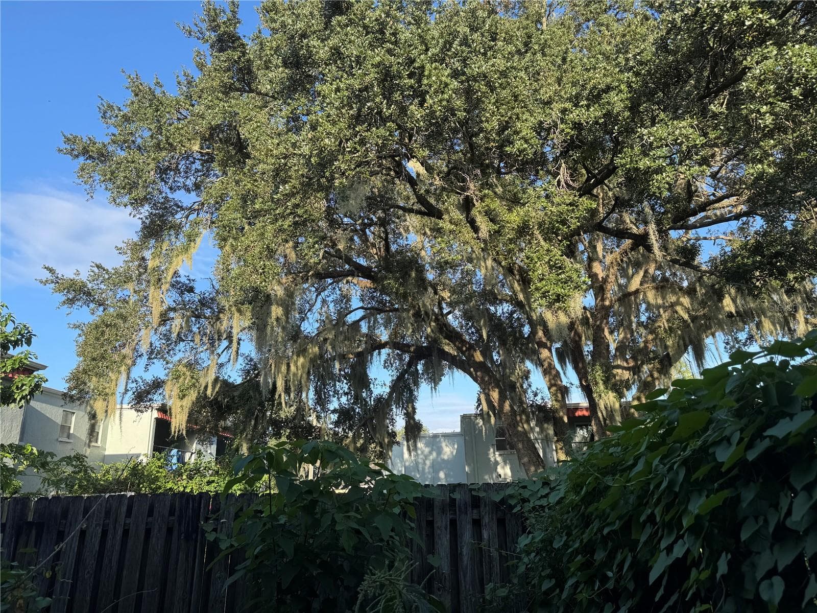 1ST FLOOR PATIO MORNING COFFEE VIEWS - 2884 SOMERSET PARK DR #2907, TAMPA