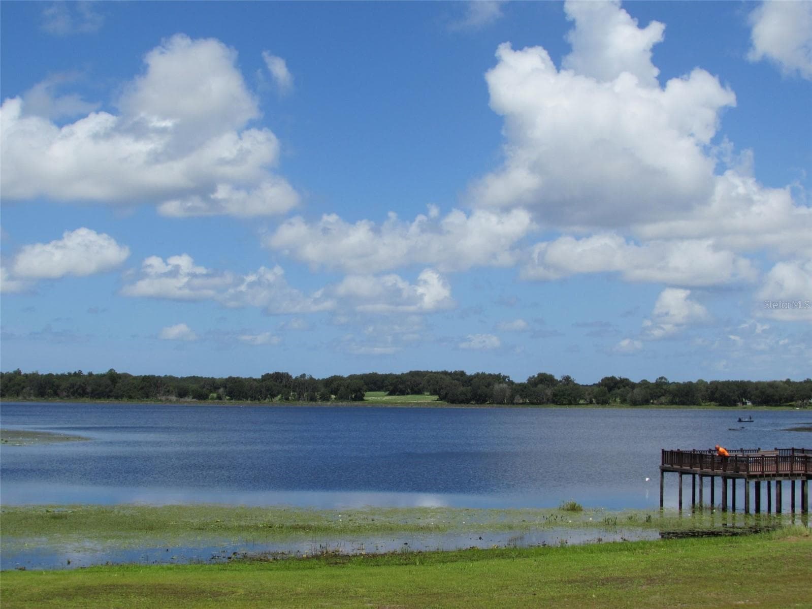 Single Family Residence at 21617 SW PEACH BLOSSOM ST, DUNNELLON, photo 52 of 58
