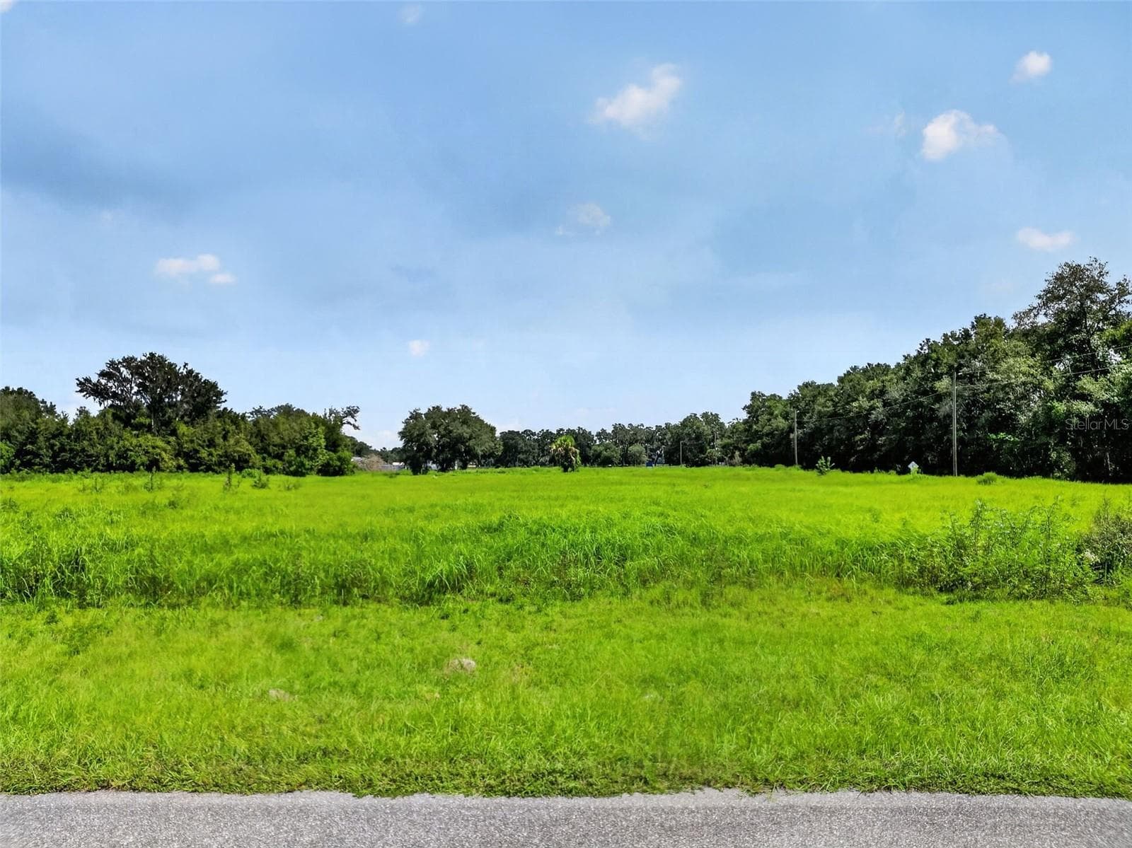 Land at 5271 CR 542F, BUSHNELL, photo 4 of 9
