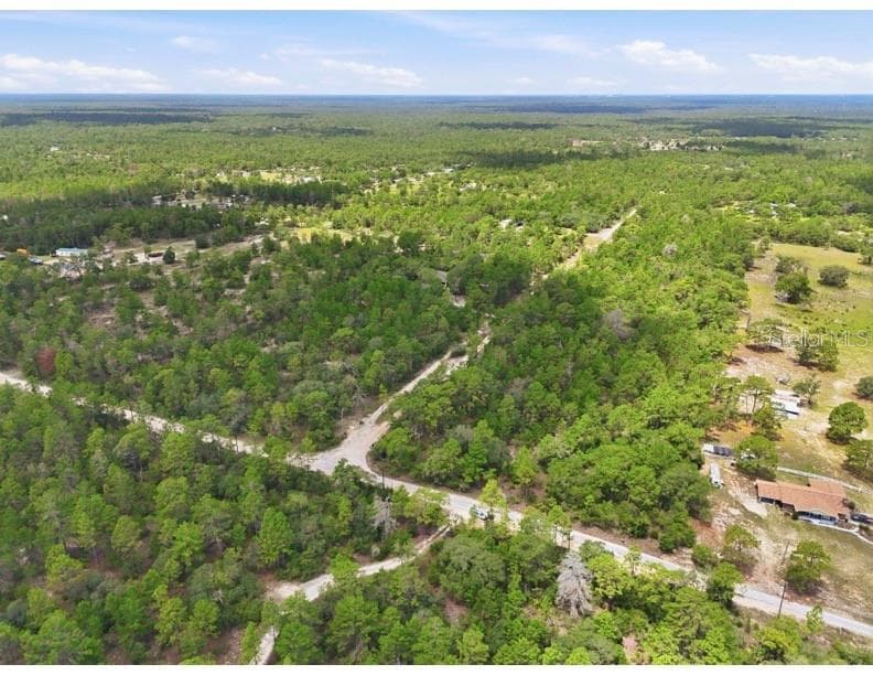 Land at 0 W CANAGAN CT, DUNNELLON, photo 3 of 6