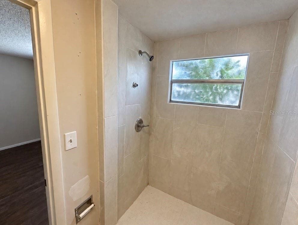 Master bathroom with walk in shower - 8952 STERLING LN, PORT RICHEY