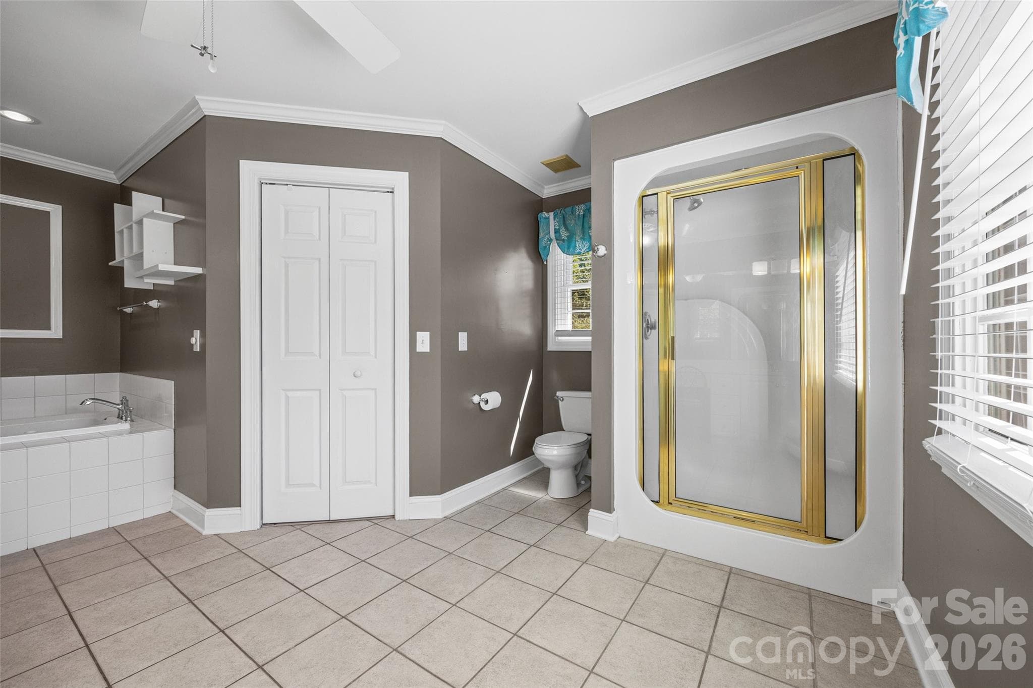 Separate Tub & Shower - 705 Carrollton Place, Rock Hill