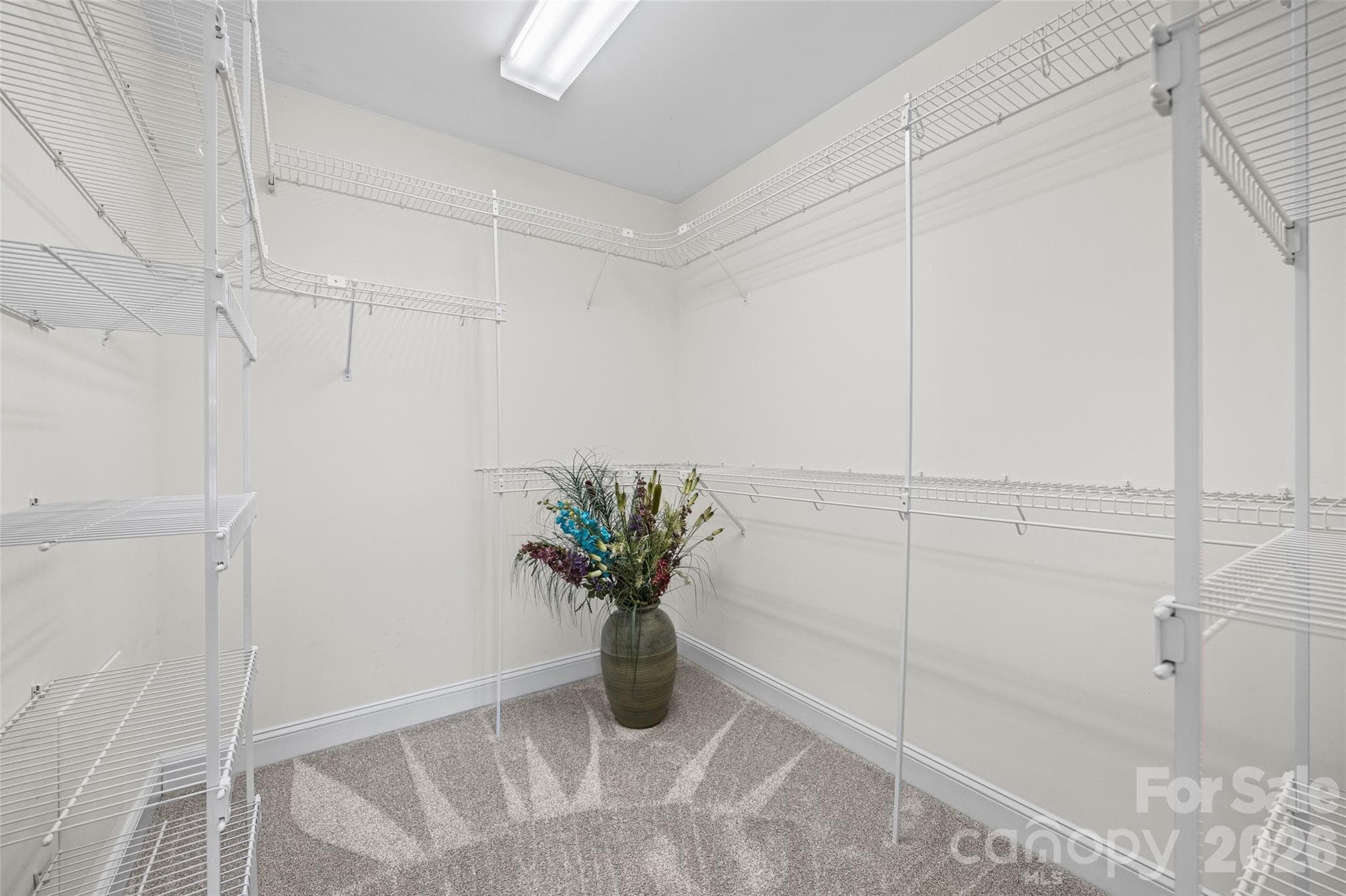 Walk-in closet - 705 Carrollton Place, Rock Hill