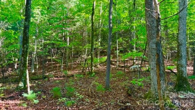 Lot at 0000 Juniper Berry Lane, Zirconia, photo 3 of 9