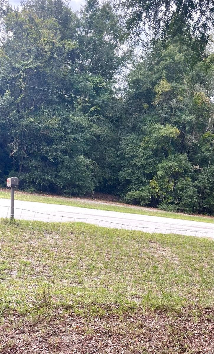 View across street - 7231 NW 28TH LN, CHIEFLAND