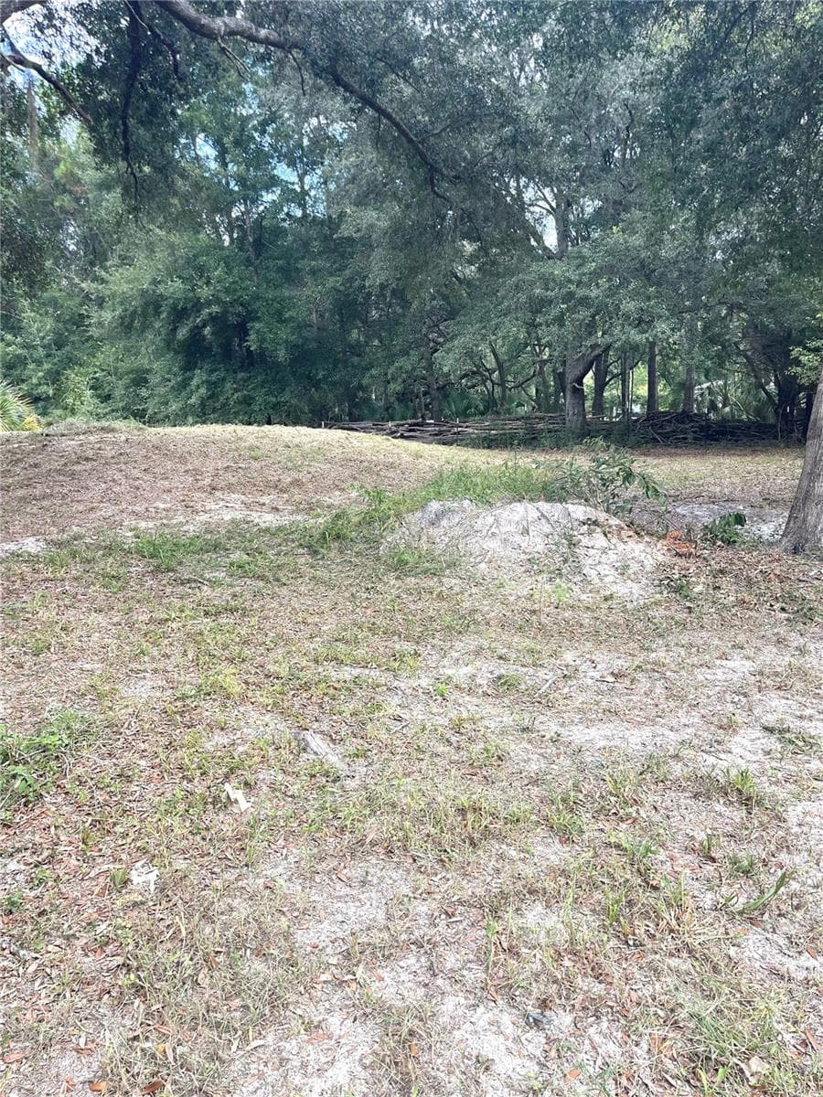 Back yard view - 7231 NW 28TH LN, CHIEFLAND