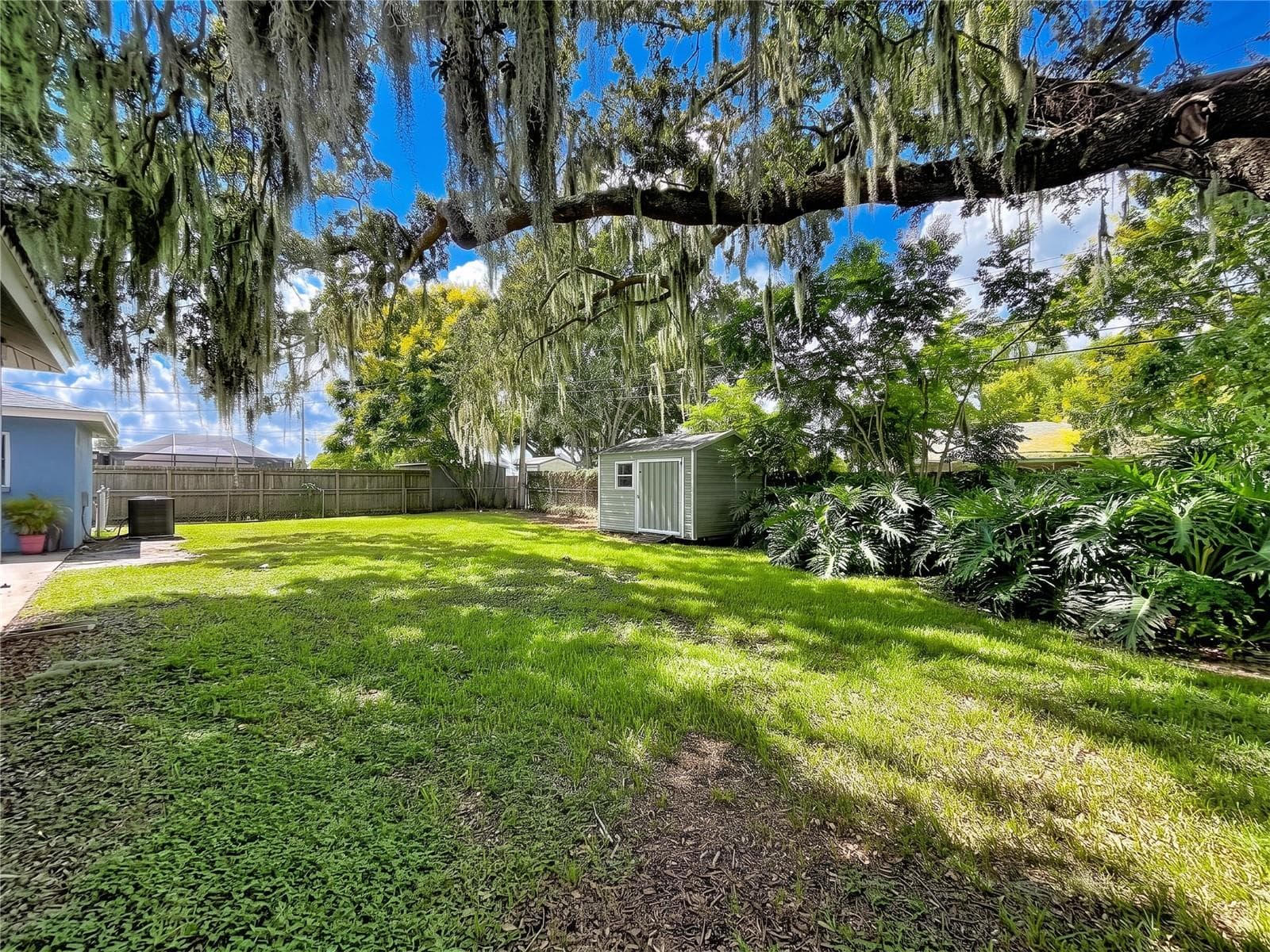 Back yard and storage shed - 903 TANGELO PLACE PL, BRANDON