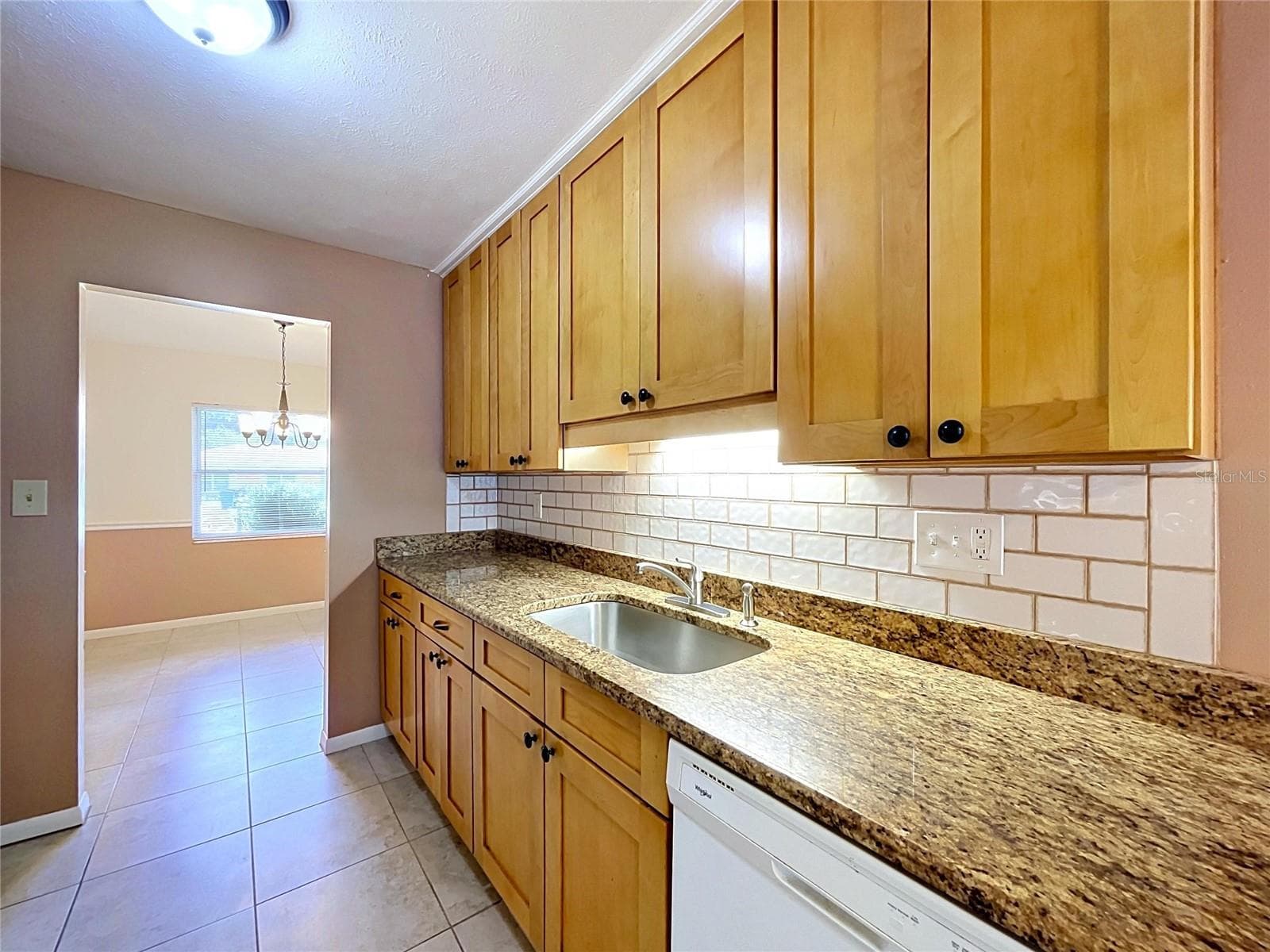 Kitchen sink - 903 TANGELO PLACE PL, BRANDON