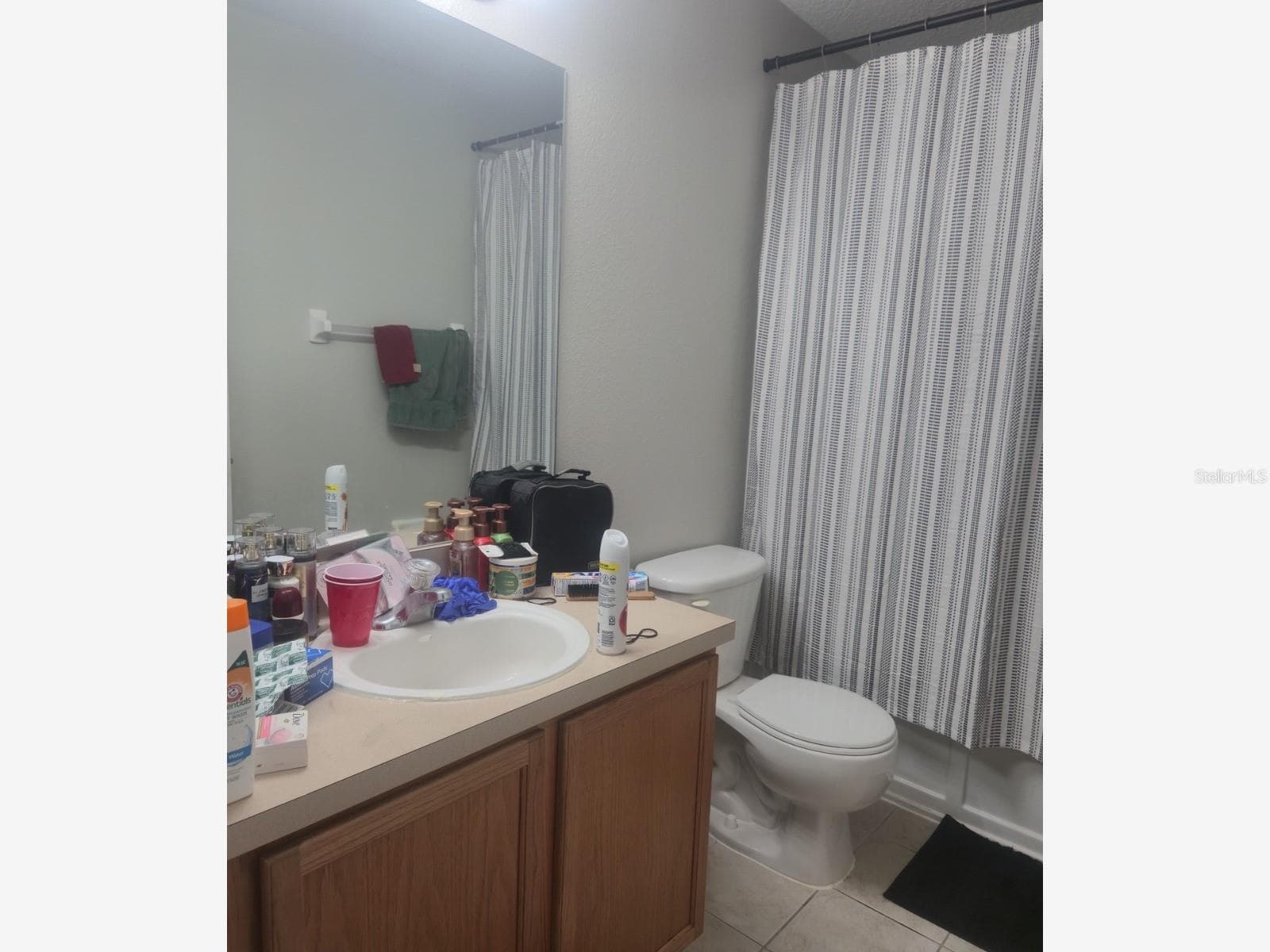 Townhouse at 239 CASTLEKEEPER PL, VALRICO, photo 24 of 26