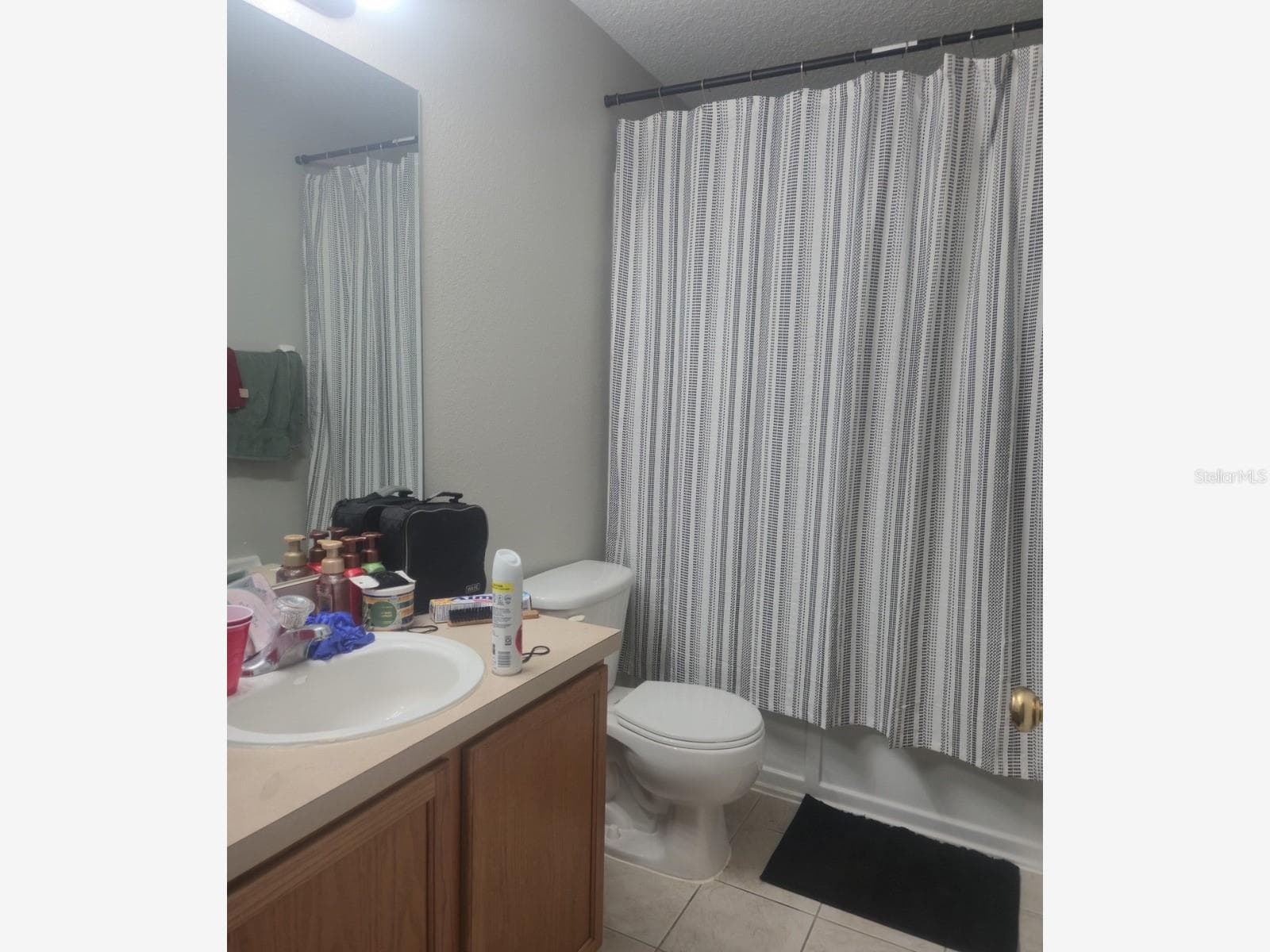 Townhouse at 239 CASTLEKEEPER PL, VALRICO, photo 25 of 26