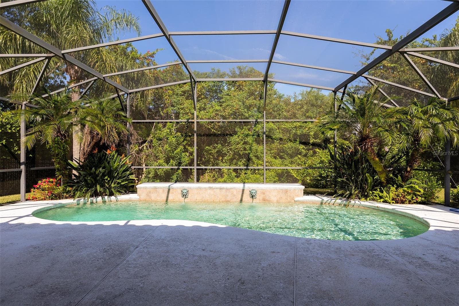 Screened in Salt Water Pool - 11727 DELWICK DR, WINDERMERE
