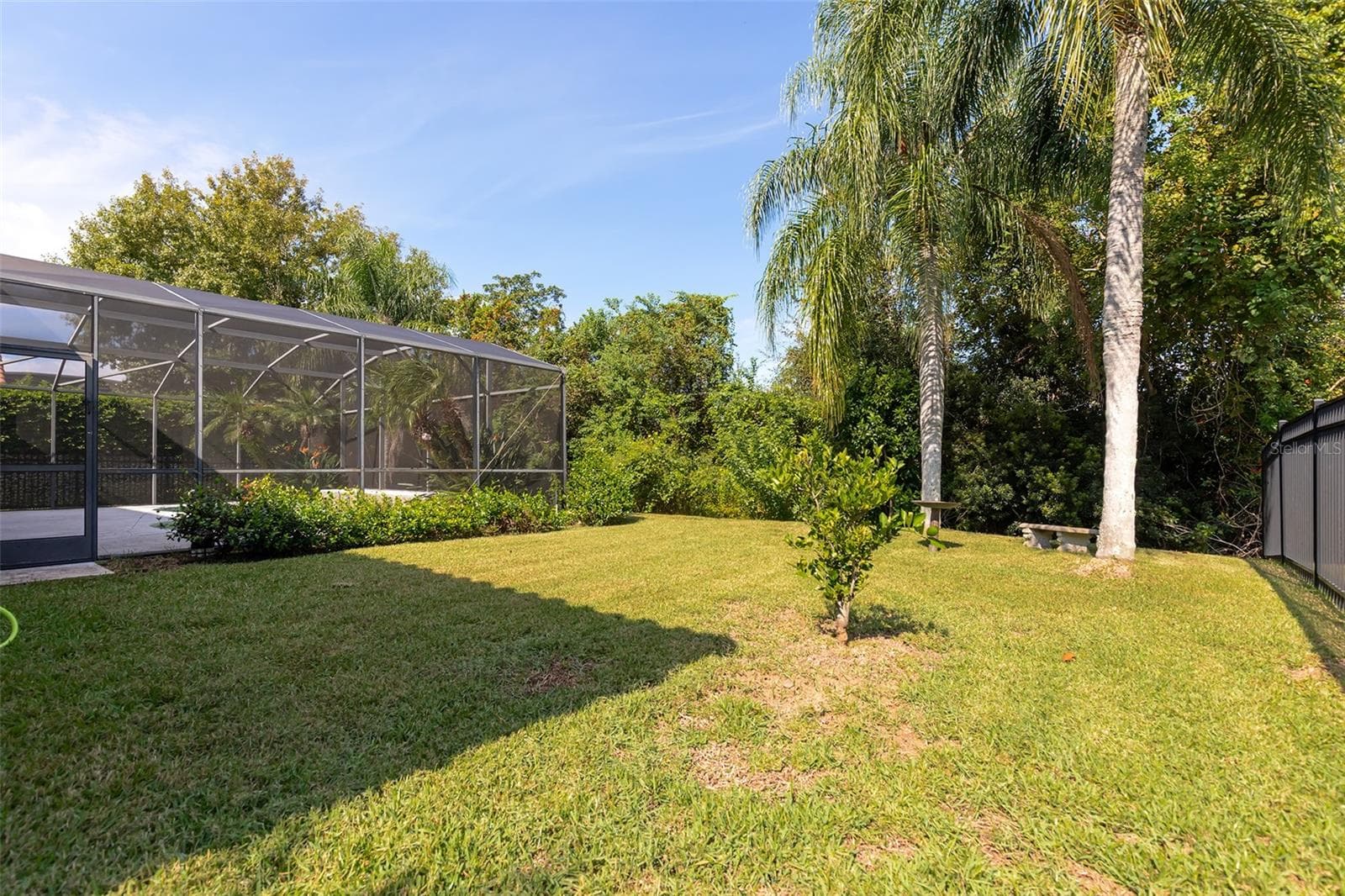 Backyard - 11727 DELWICK DR, WINDERMERE