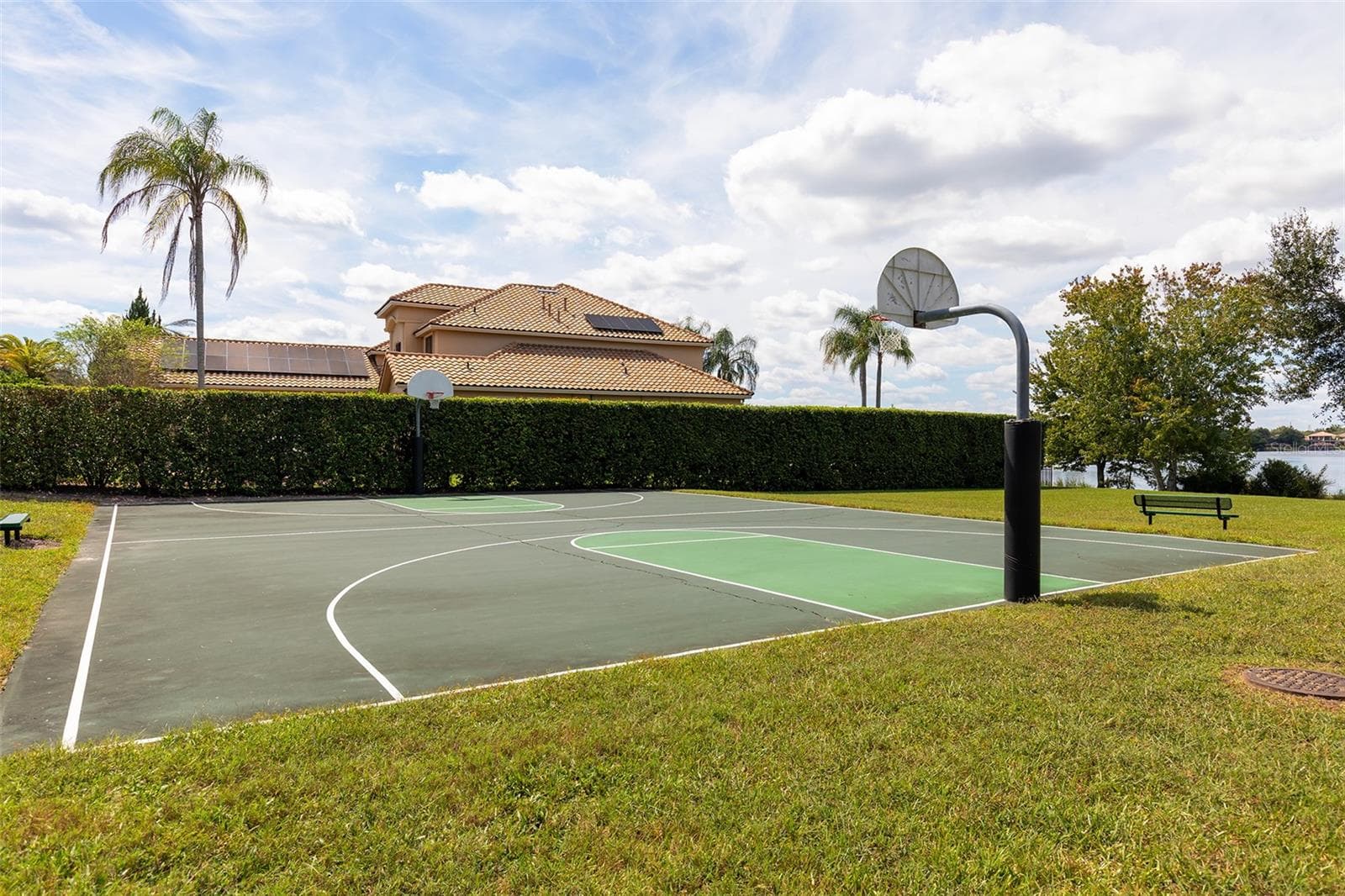 Community Basketball Court - 11727 DELWICK DR, WINDERMERE