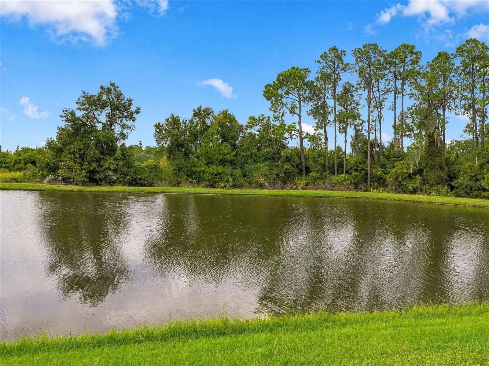 Single Family Residence at 33655 WILLOW POINT CT, WESLEY CHAPEL, photo 53 of 69