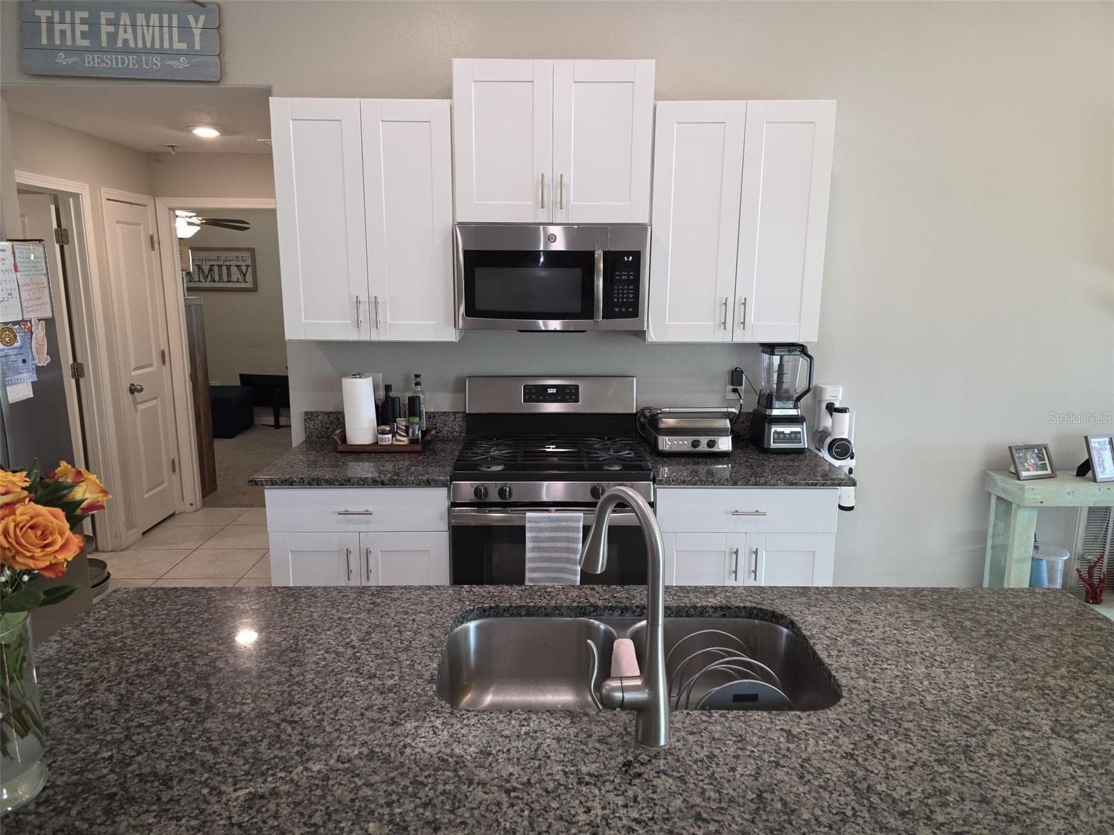 Single Family Residence at 5104 DANDELION ST, APOLLO BEACH, photo 11 of 42