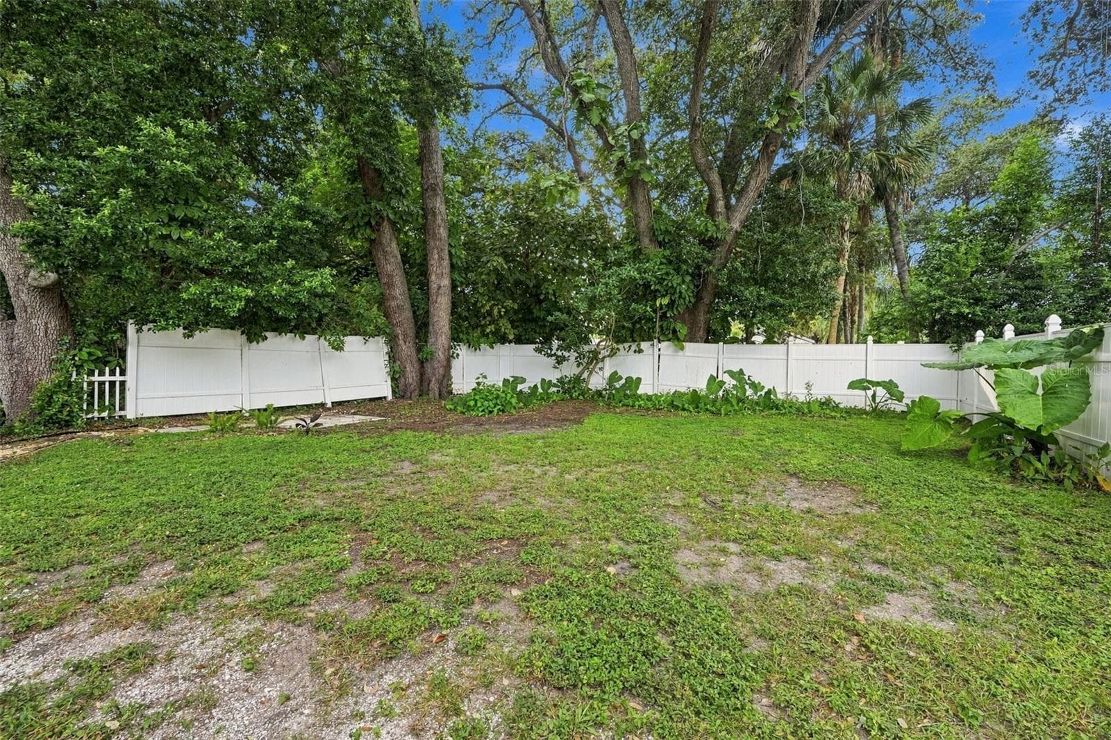 Single Family Residence at 1242 NEW YORK AVE, DUNEDIN, photo 38 of 42