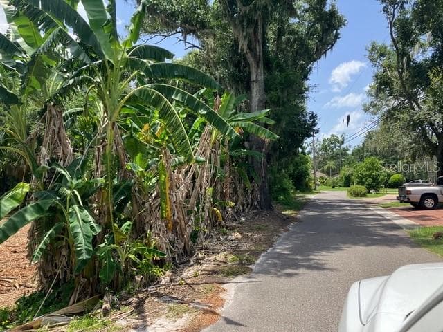 Land at DONNA LU DR, ODESSA, photo 3 of 13