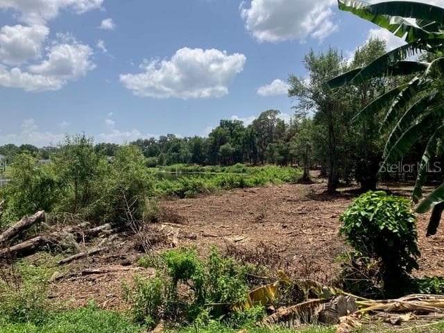 Land at DONNA LU DR, ODESSA, photo 4 of 13