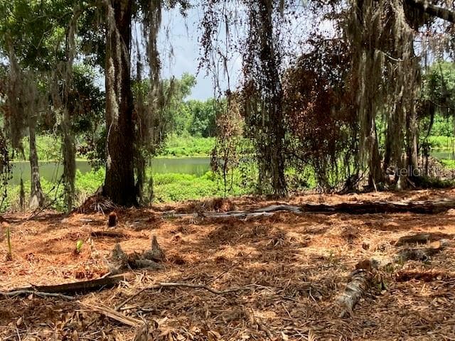 Land at DONNA LU DR, ODESSA, photo 5 of 13