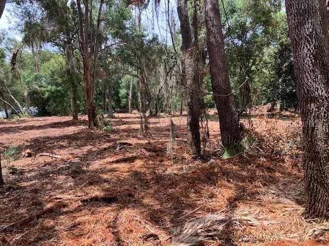 Land at DONNA LU DR, ODESSA, photo 7 of 13