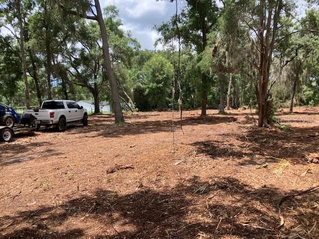 Land at DONNA LU DR, ODESSA, photo 8 of 13